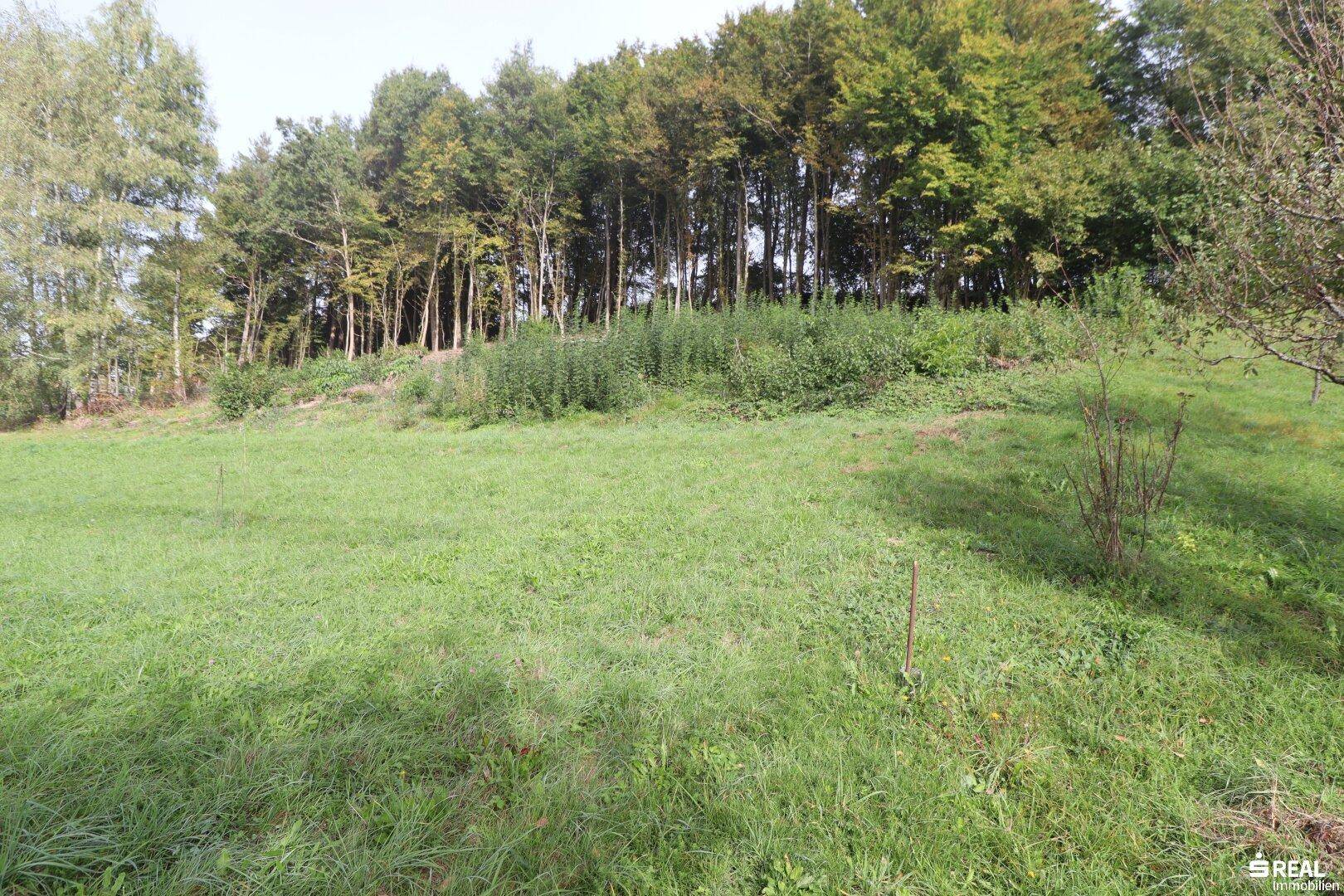 Baugrundstück mit traumhafter Aussicht in Ludmannsdorf zu verkaufen! - Ansicht 5