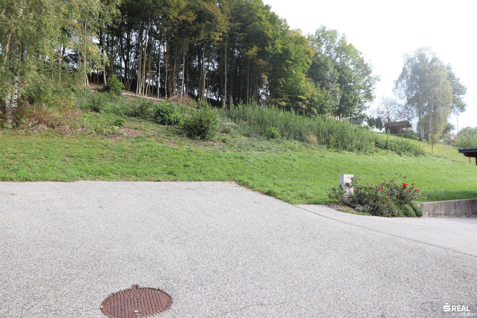 Baugrundstück mit traumhafter Aussicht in Ludmannsdorf zu verkaufen! - Ansicht 4