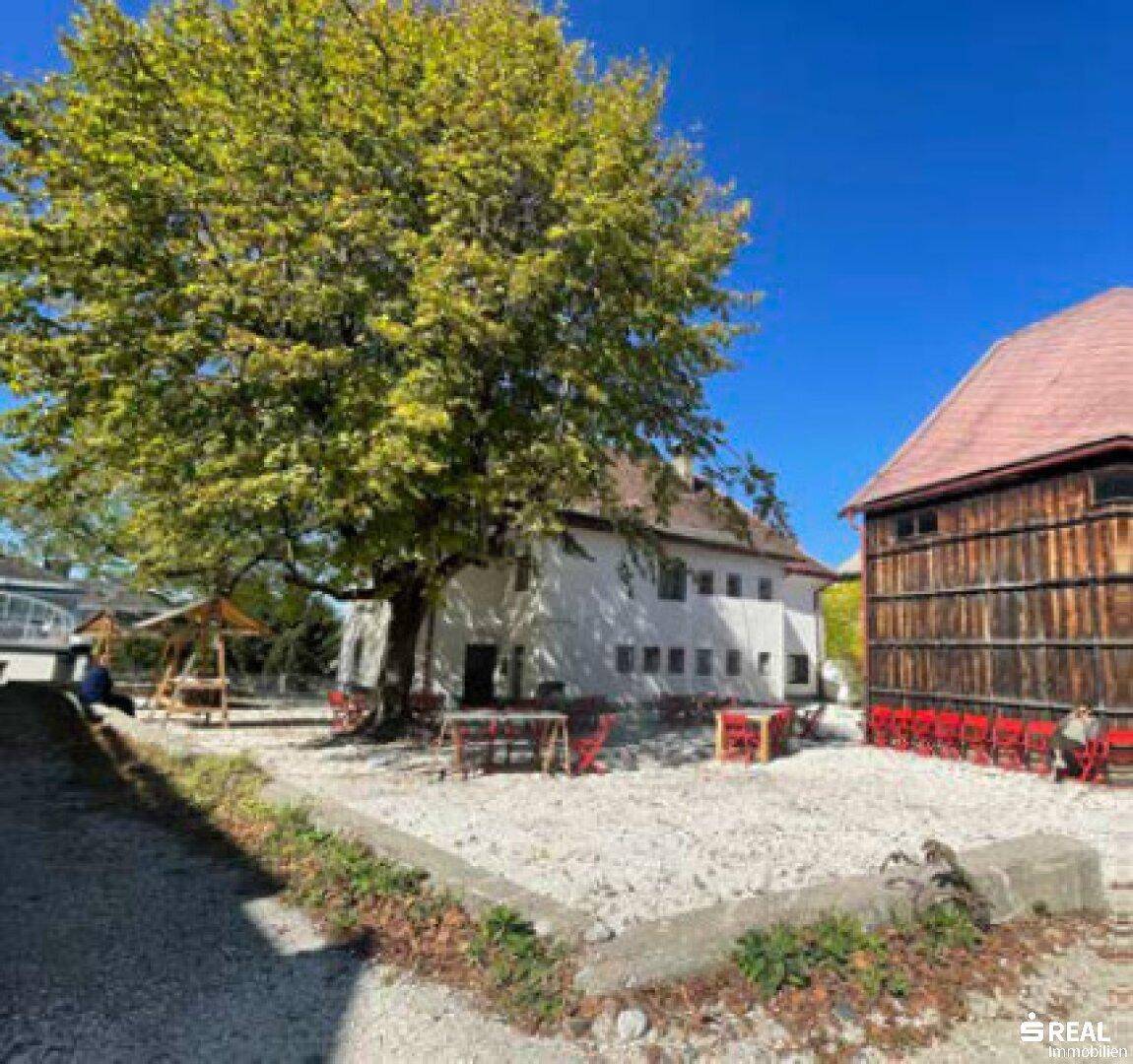 Sonniger Kiesplatz mit großem Baum, Sitzgelegenheiten und historischem Gebäude neben einer Scheune.