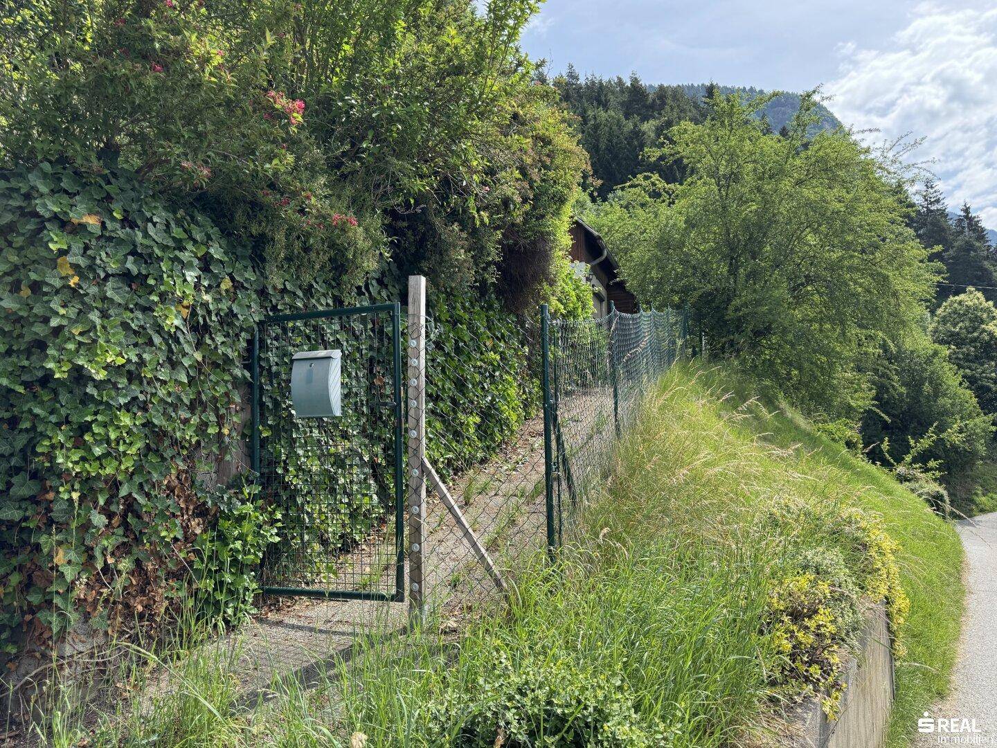 Südliches Baugrundstück in Hanglage mit traumhaftem Blick und Altbestand - Ansicht 6