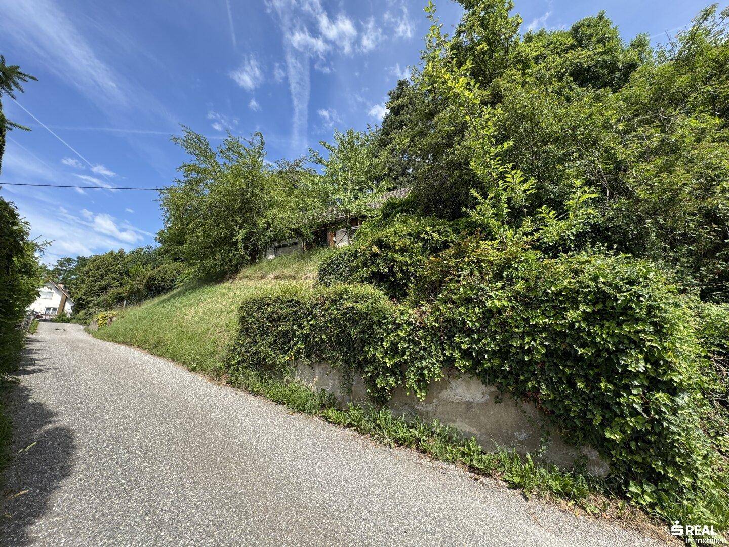 Schmaler Weg entlang eines bewachsenen Hangs mit Blick auf die Umgebung.