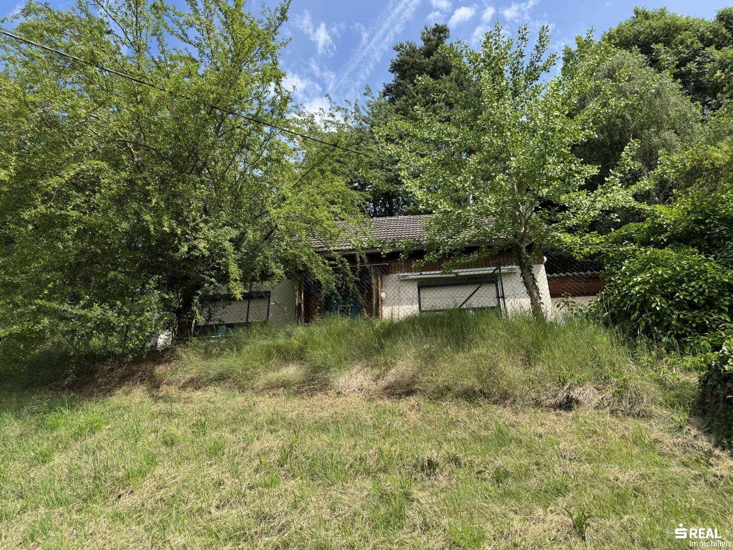 Haus auf einem Hügel, umgeben von Bäumen und hohem Gras.