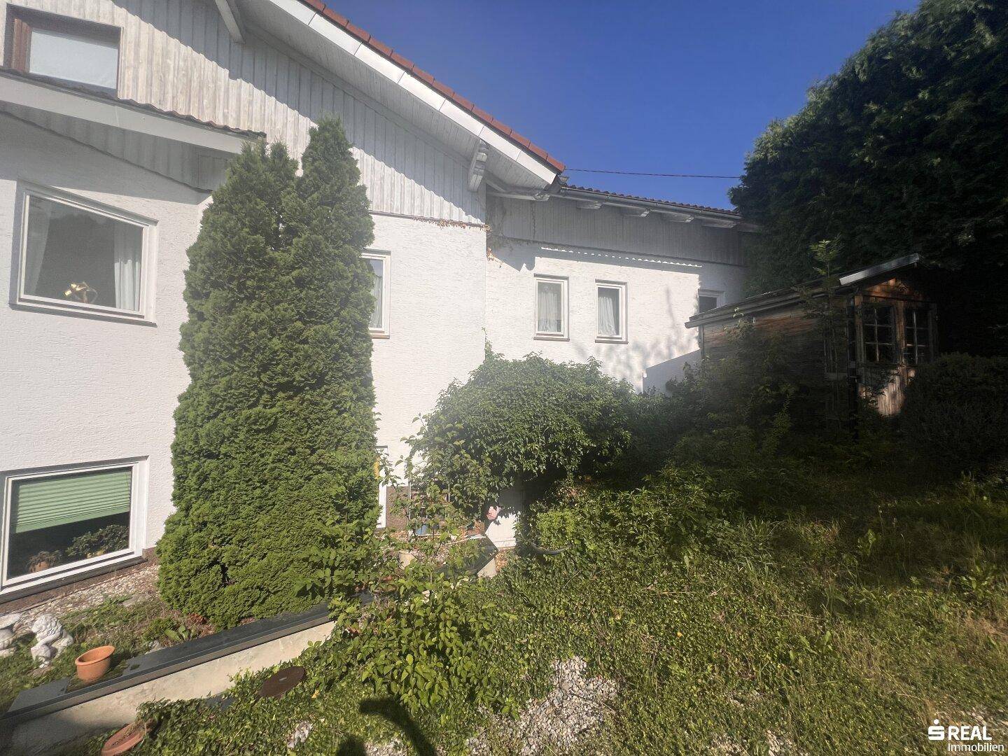 Seitenansicht des Hauses mit weißer Fassade und grünen Fensterläden, umgeben von üppigem Grün und einem kleinen Holzschuppen.