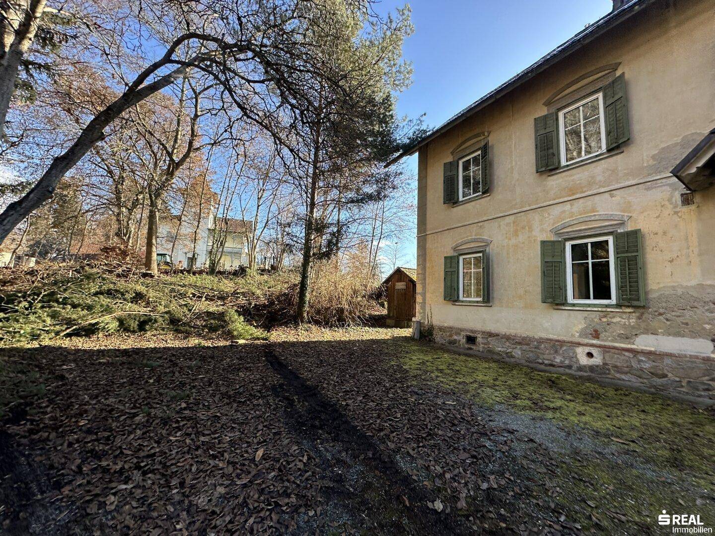 Seitenansicht des historischen Hauses mit verwitterter Fassade und grünen Fensterläden, umgeben von kahlen Bäumen.