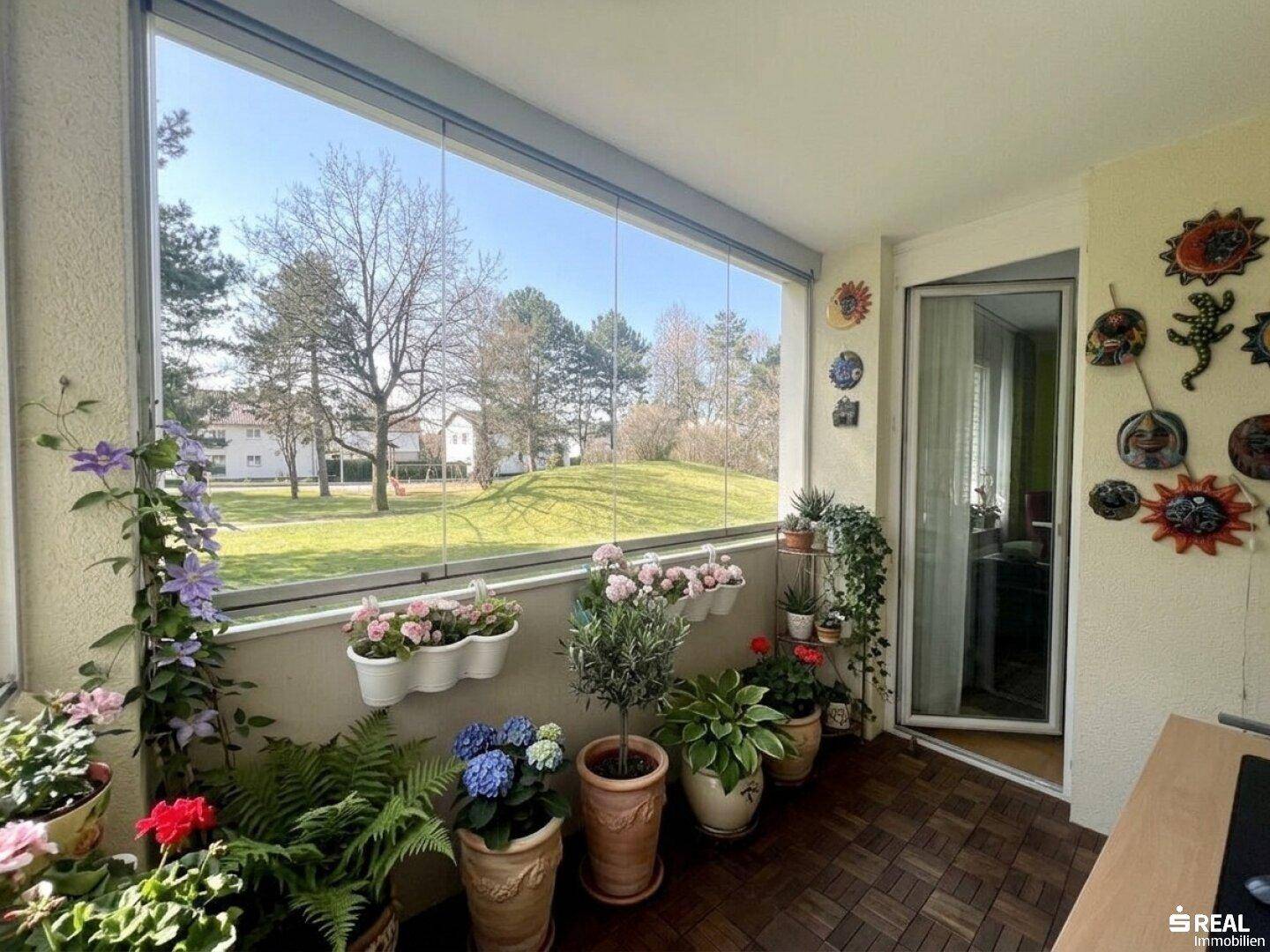 Verglaster Balkon mit Holzboden, vielen Pflanzen und Blick ins Grüne.