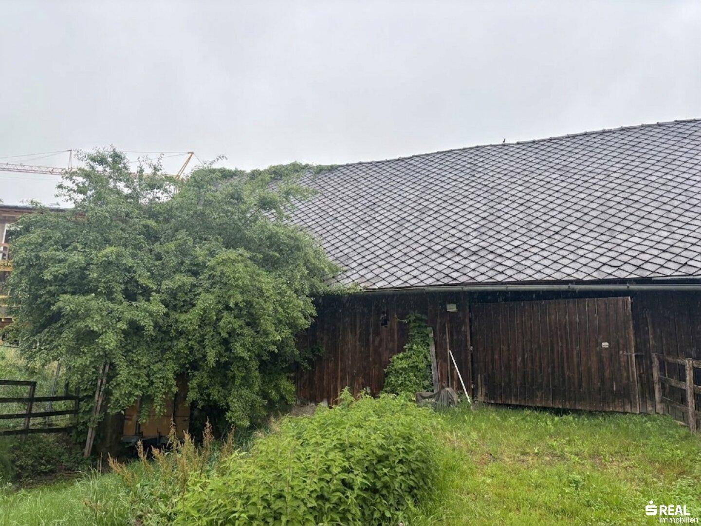 Rückansicht des Gebäudes mit Holztüren und bewachsenem Dach, umgeben von viel Grün.