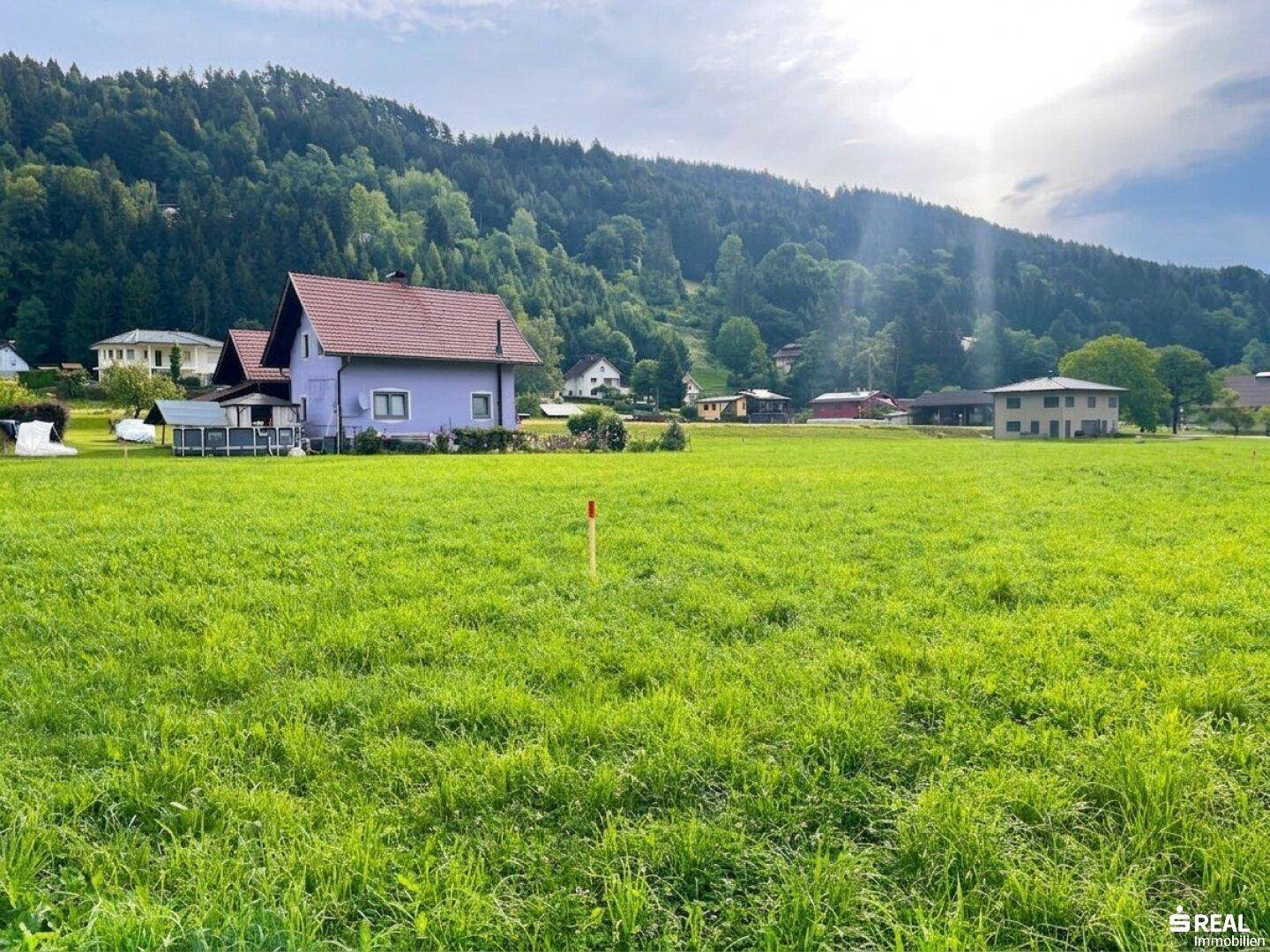 Sonnige grüne Wiese mit Blick auf ein Wohnhaus und bewaldete Hügel im Hintergrund.