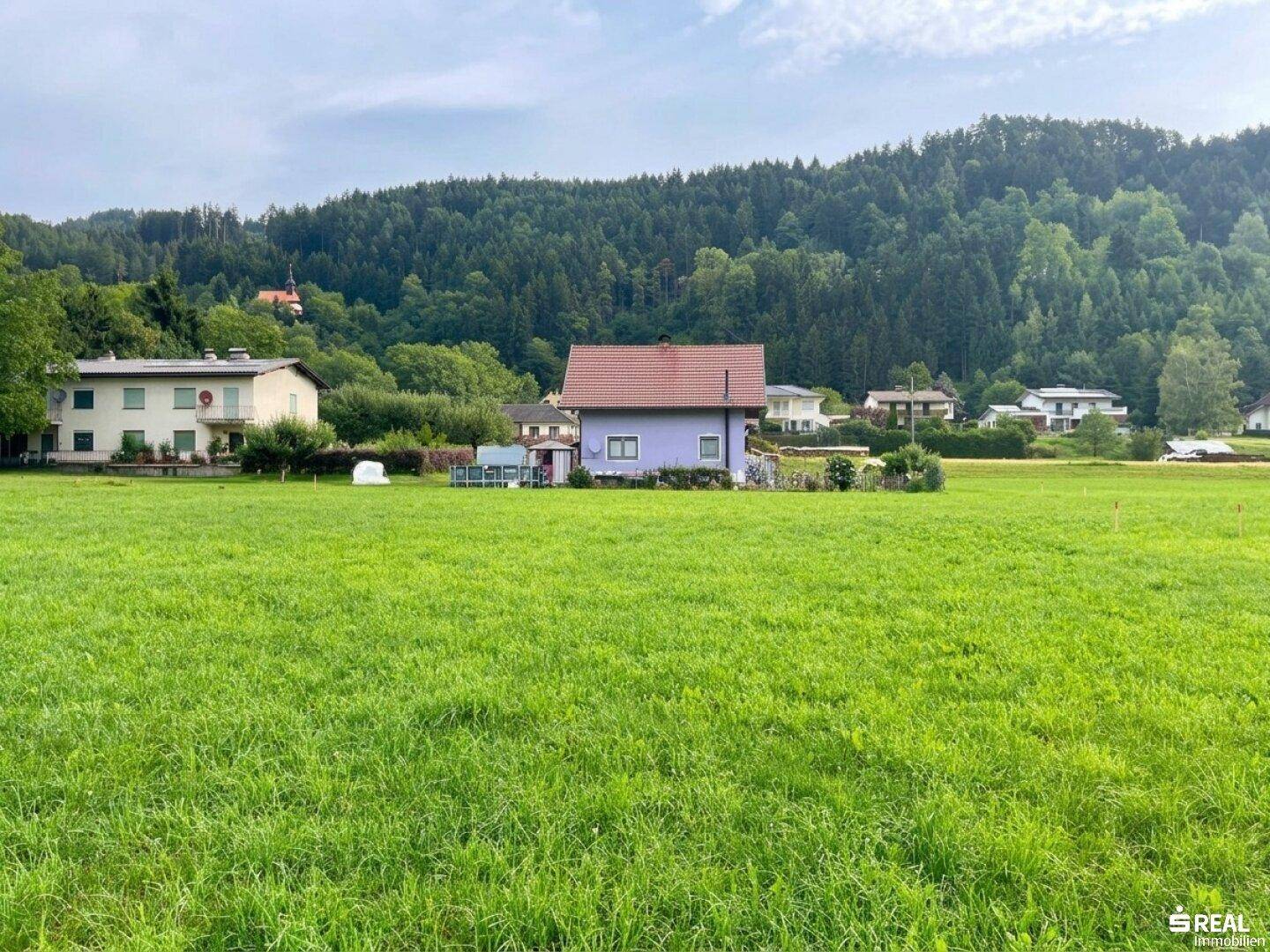 Ausgedehnte grüne Wiese mit Blick auf mehrere Wohnhäuser und dicht bewaldete Hügel.