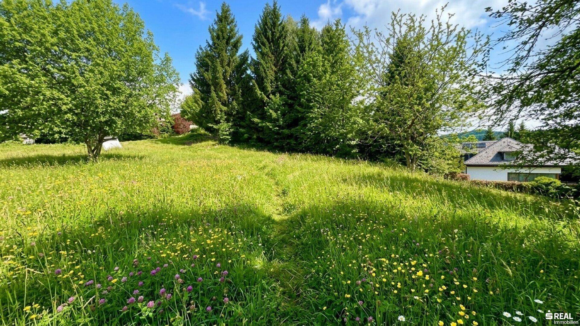 Sonniger, blühender Wiesenhang mit hohen Gräsern und Bäumen im Hintergrund.