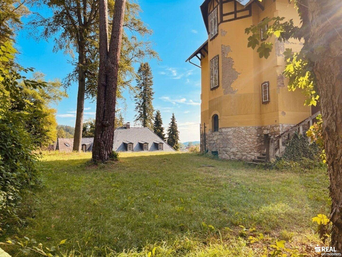 Weitläufiger Garten mit altem Baumbestand und sonnigem Blick auf die historische Villa.