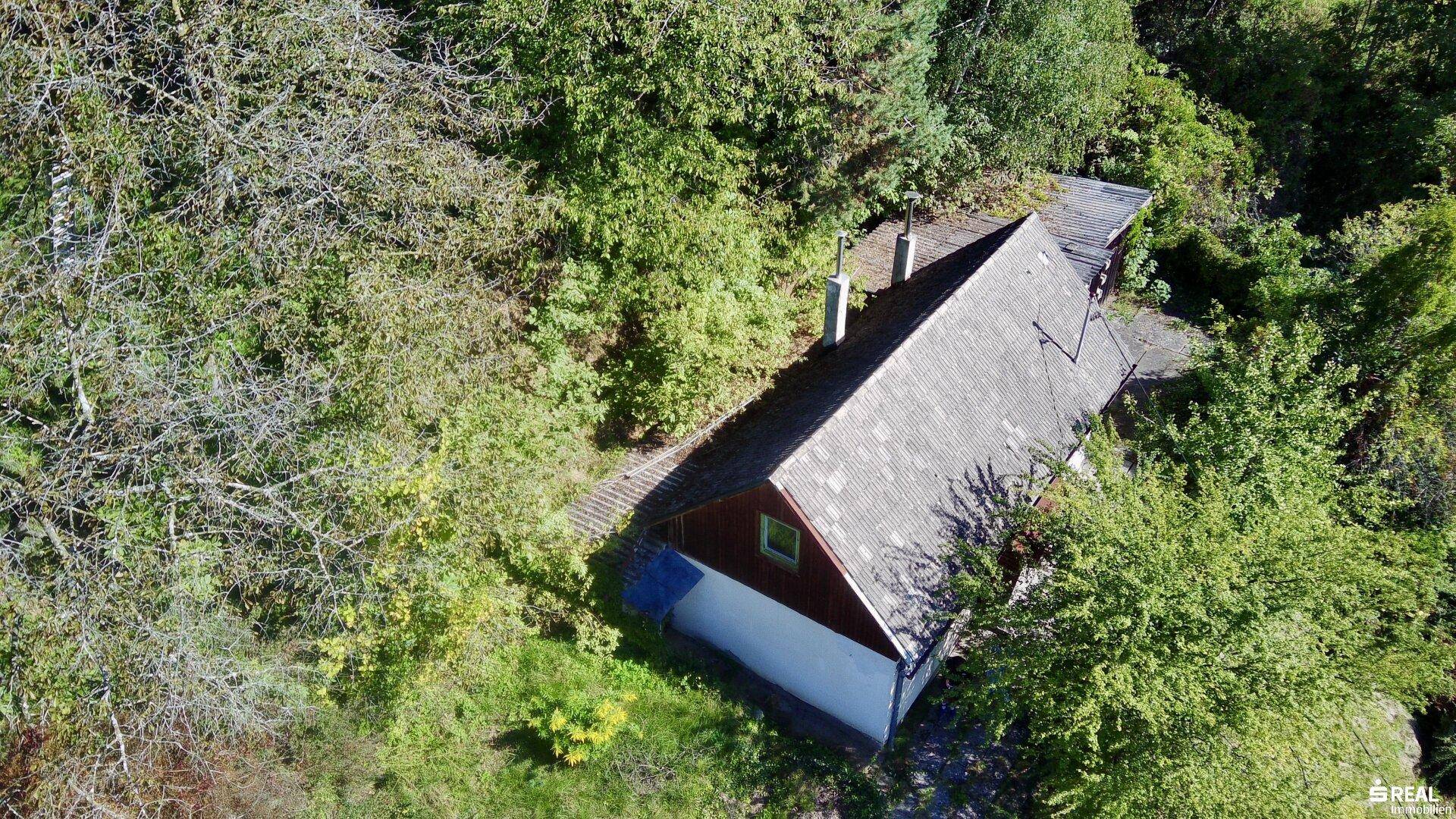 Draufsicht auf das Haus, eingebettet in eine grüne Umgebung mit altem Dach und hohen Bäumen.