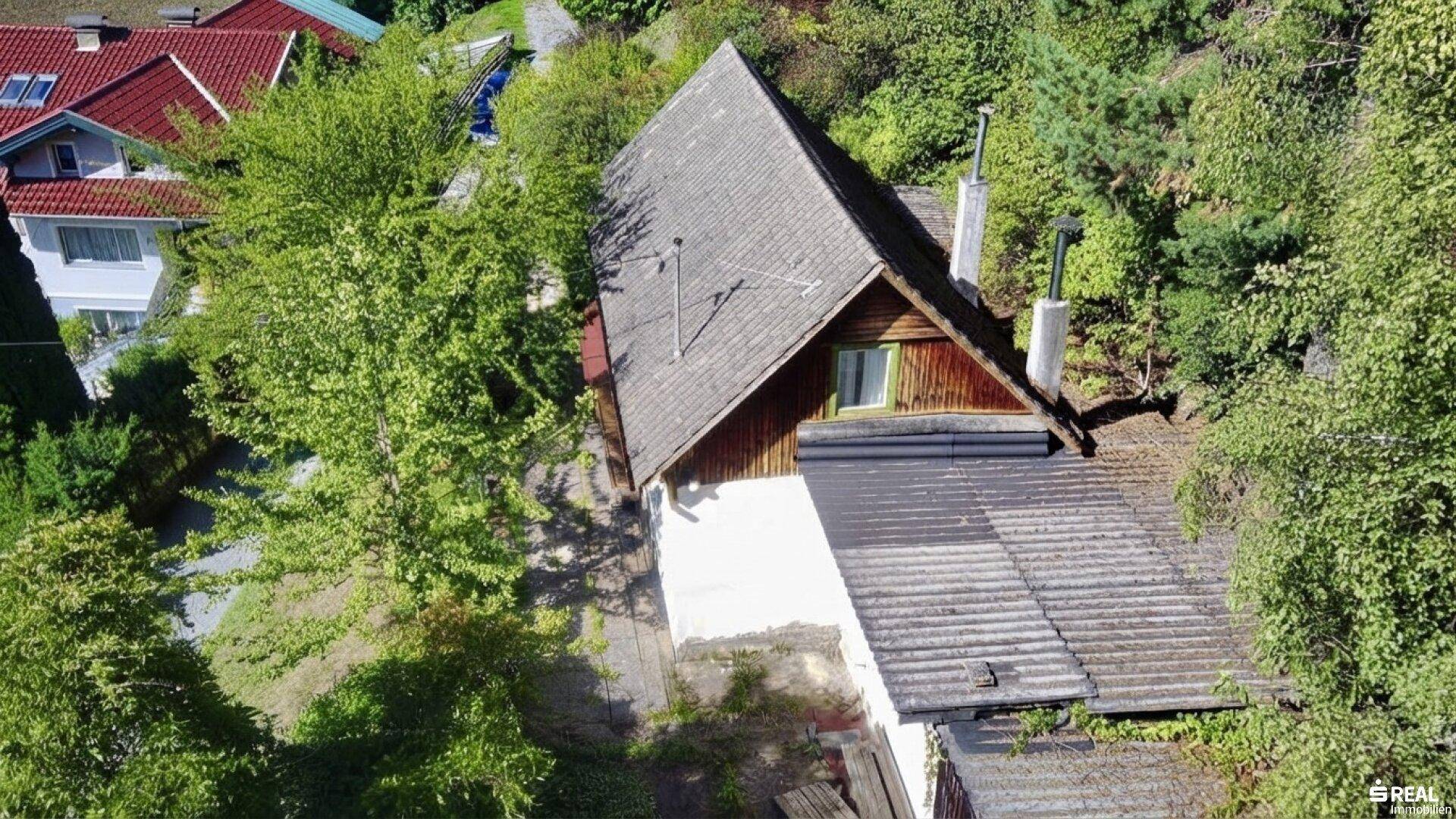 Draufsicht auf das Haus mit altem Satteldach, umgeben von dichtem Grün und Bäumen.