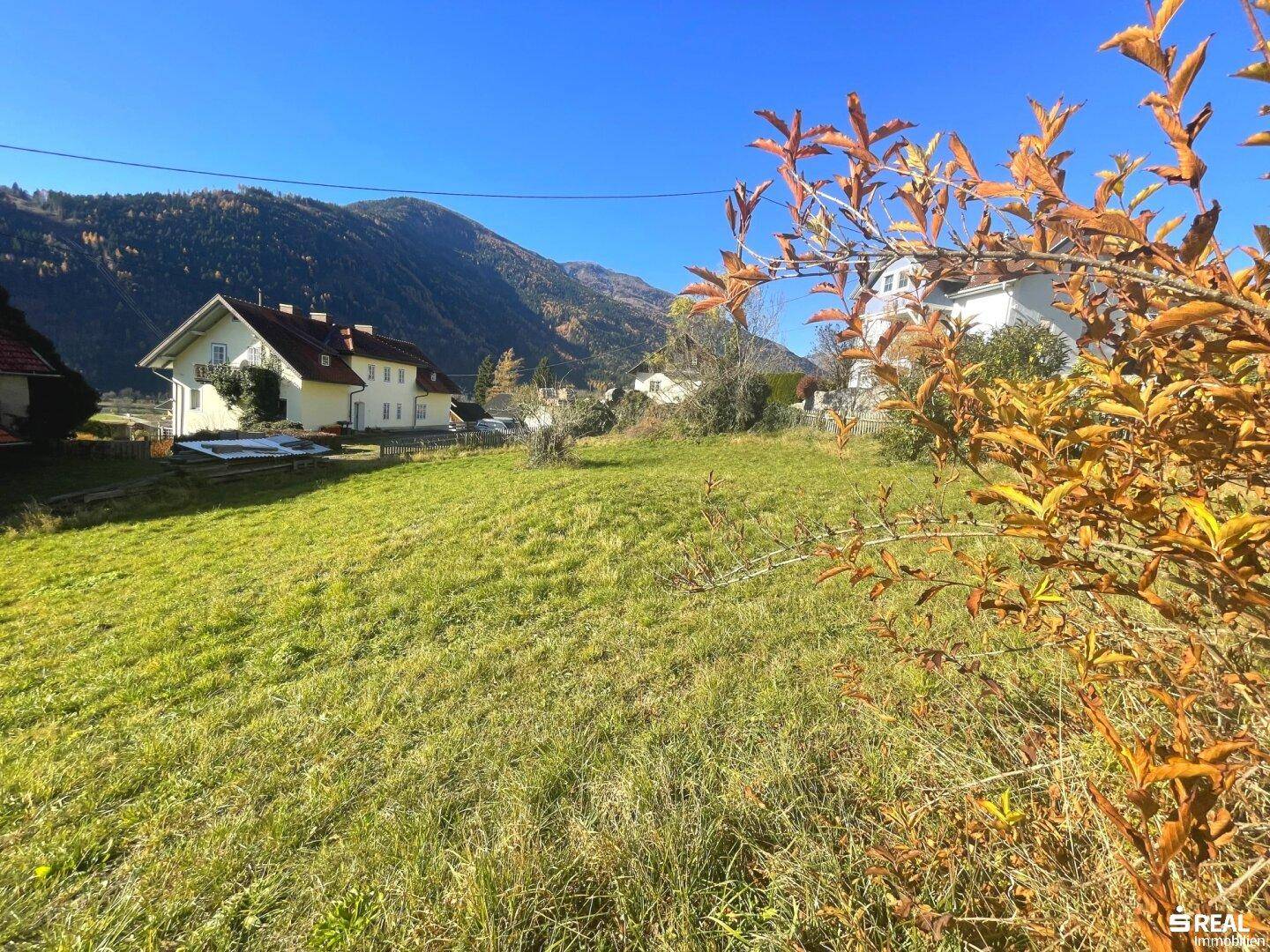 Sonnige Wiesenlandschaft mit einem Haus im Hintergrund und bewaldeten Bergen am Horizont.