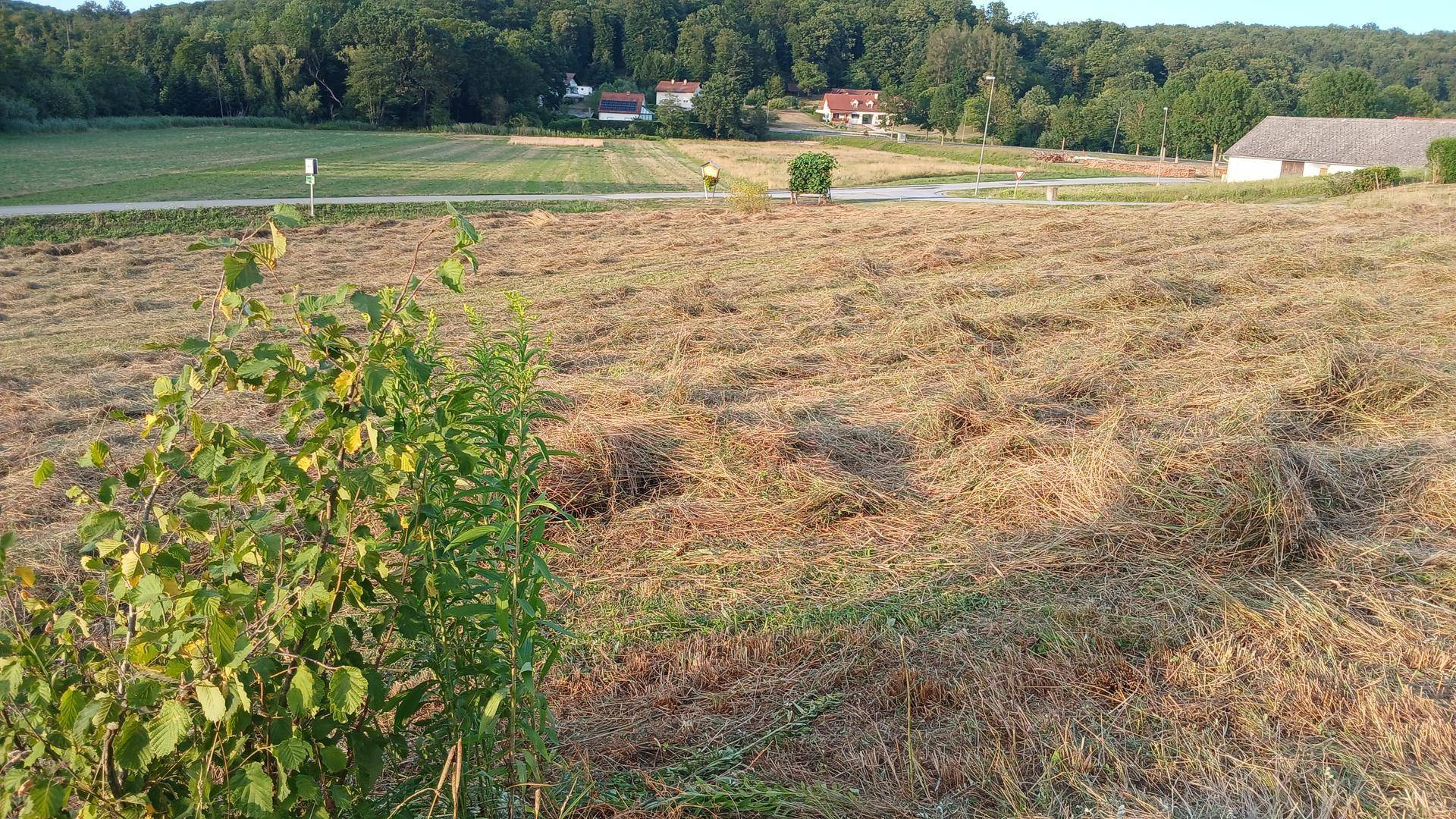 Weitläufige Felder mit frisch gemähtem Heu und Häusern am Waldrand im Hintergrund.