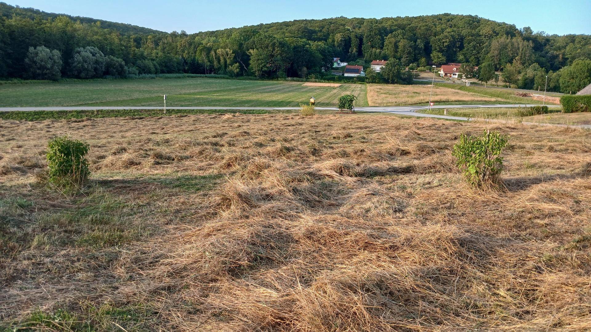 Offene Felder mit Heu und vereinzelten Büschen, umgeben von Wald und Häusern in der Ferne.