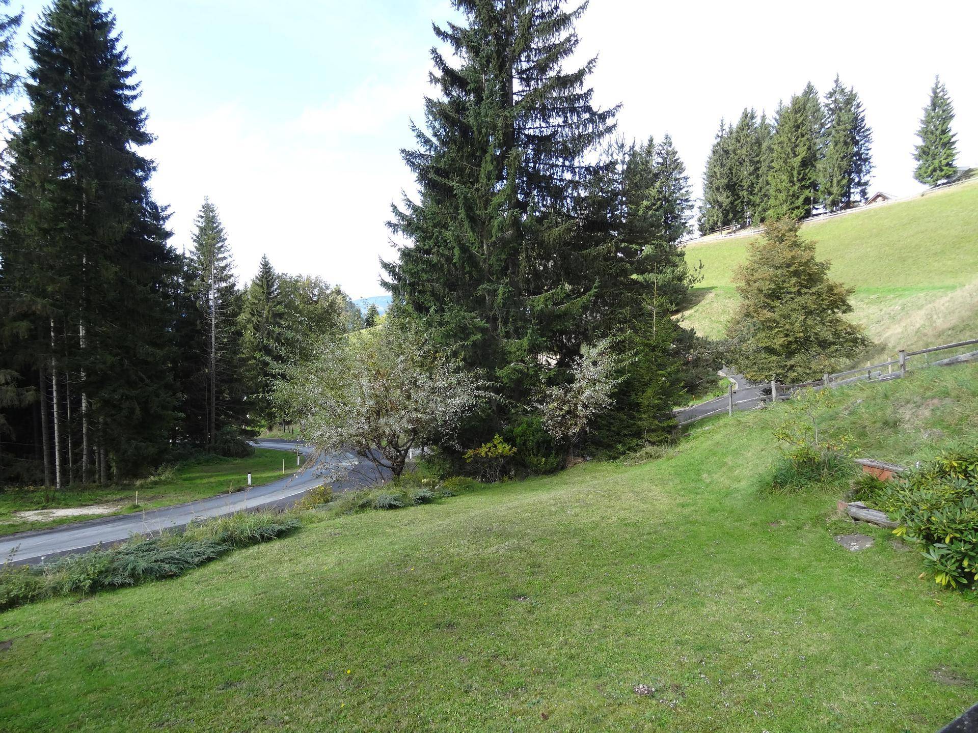 Panoramablick auf eine kurvenreiche Straße, umgeben von grünen Hügeln und dichten Wäldern.