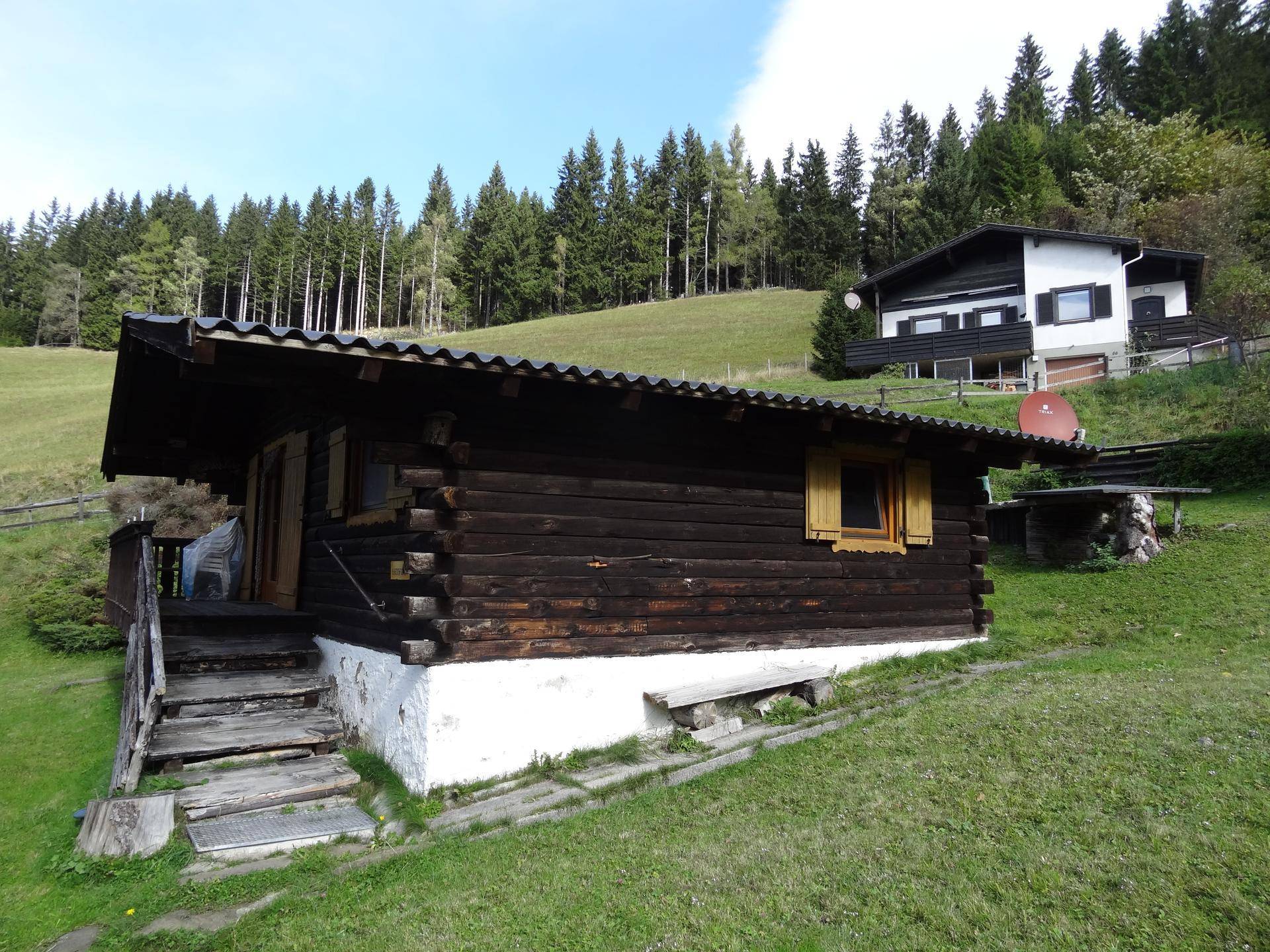 Charmantes Holzchalet von der Seite, eingebettet in eine grüne Landschaft mit hohen Bäumen.