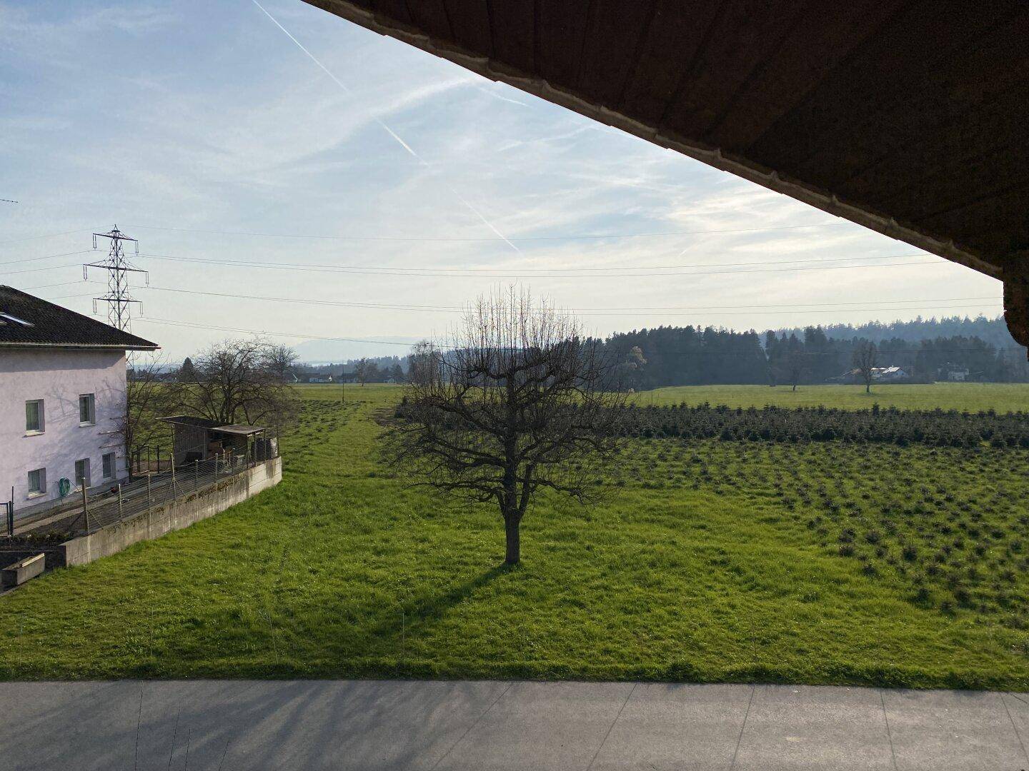Weitläufiger Blick über grüne Felder und die ländliche Umgebung unter blauem Himmel.
