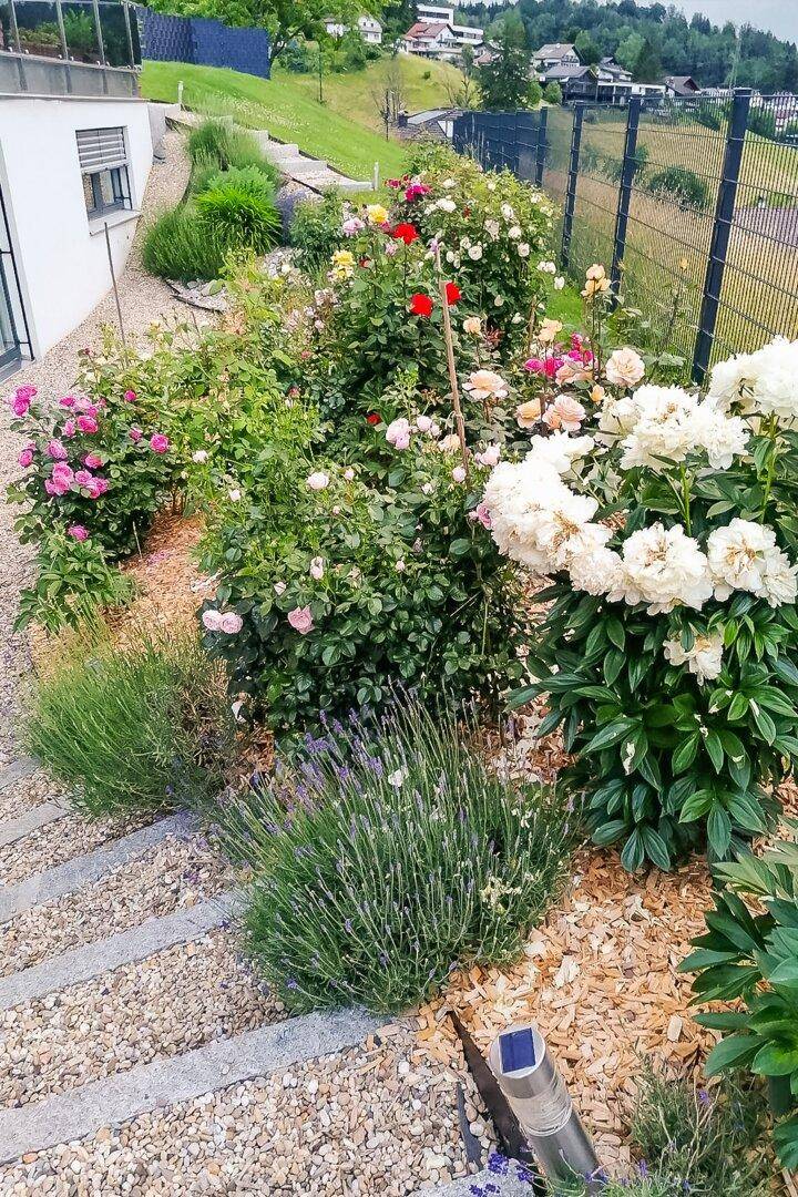 Farbenfroher Rosengarten mit verschiedenen Blumen und Kieswegen auf einem Hanggrundstück.
