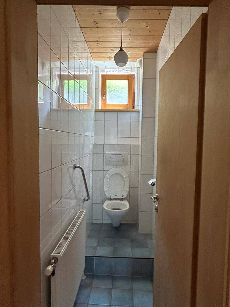 WC mit wandhängender Toilette, Haltegriffen und Holzdecke, beleuchtet durch zwei kleine Fenster.