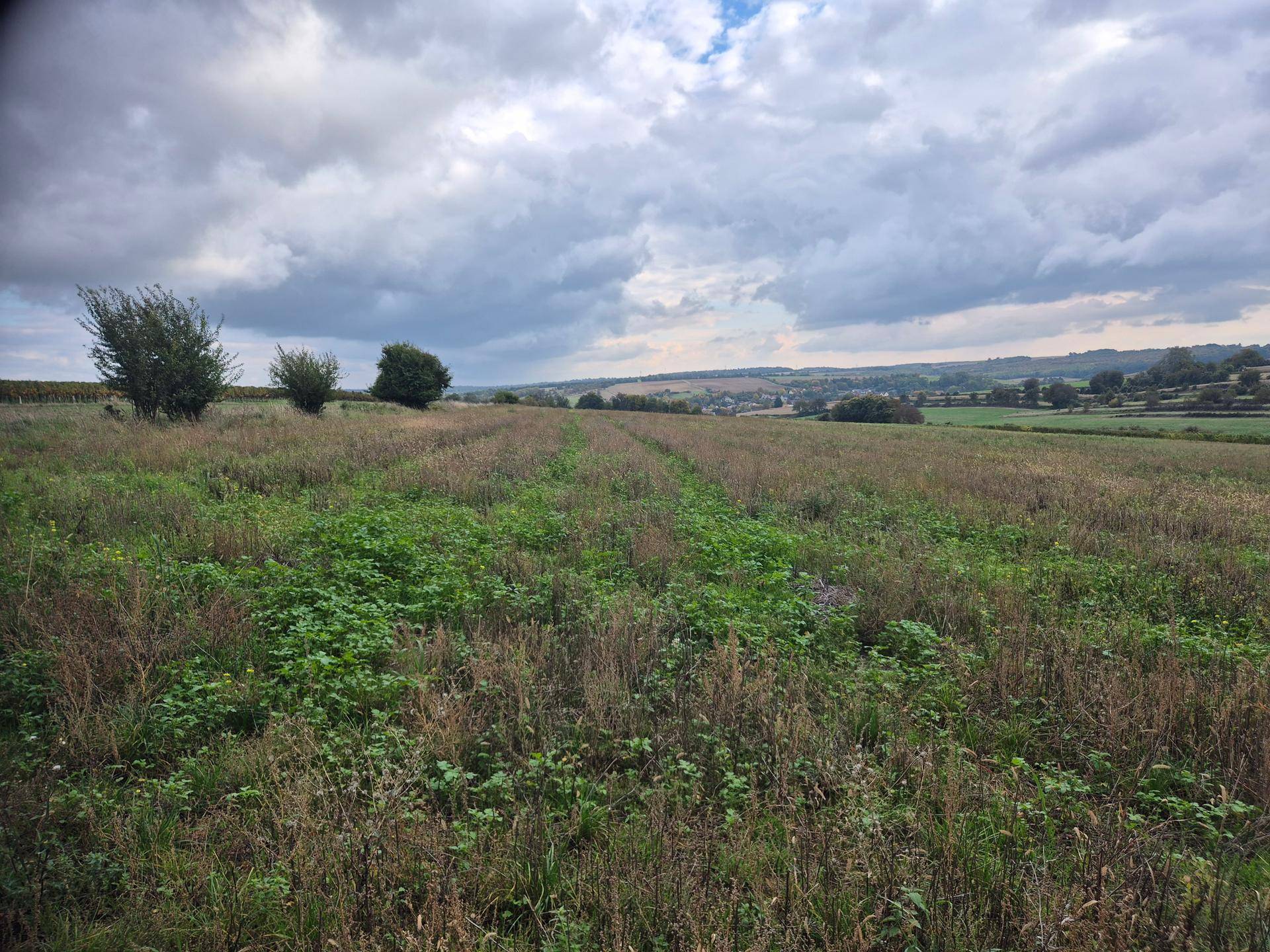 Weitläufige Felder mit vereinzelten Bäumen und einem Dorf in der Ferne unter einem dramatischen Wolkenhimmel.