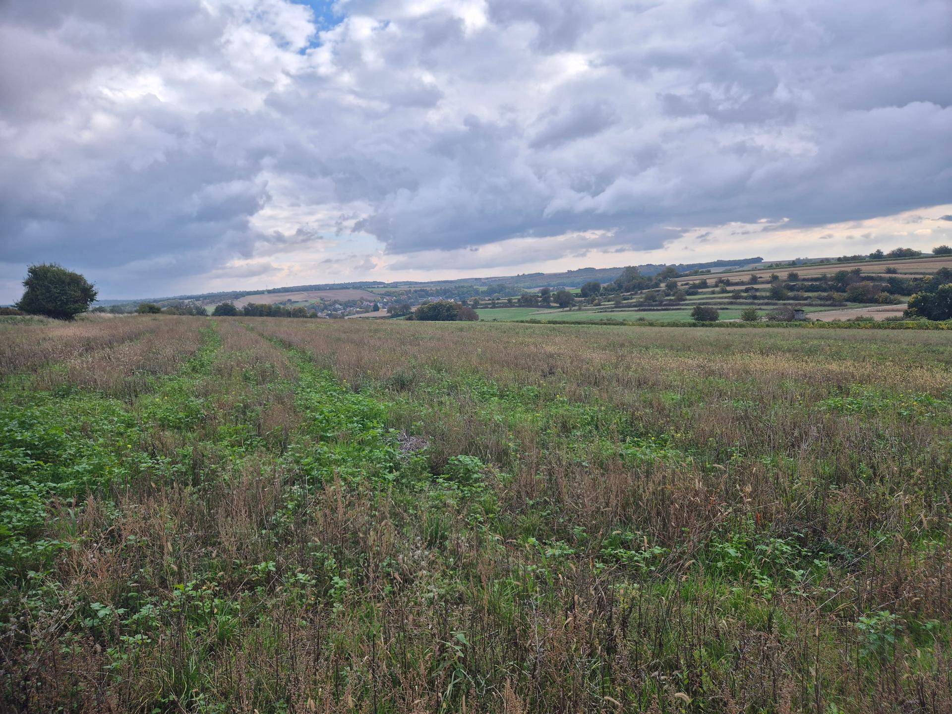 Weitläufige Felder mit vereinzelten Bäumen und einem Dorf in der Ferne unter einem dramatischen Wolkenhimmel.