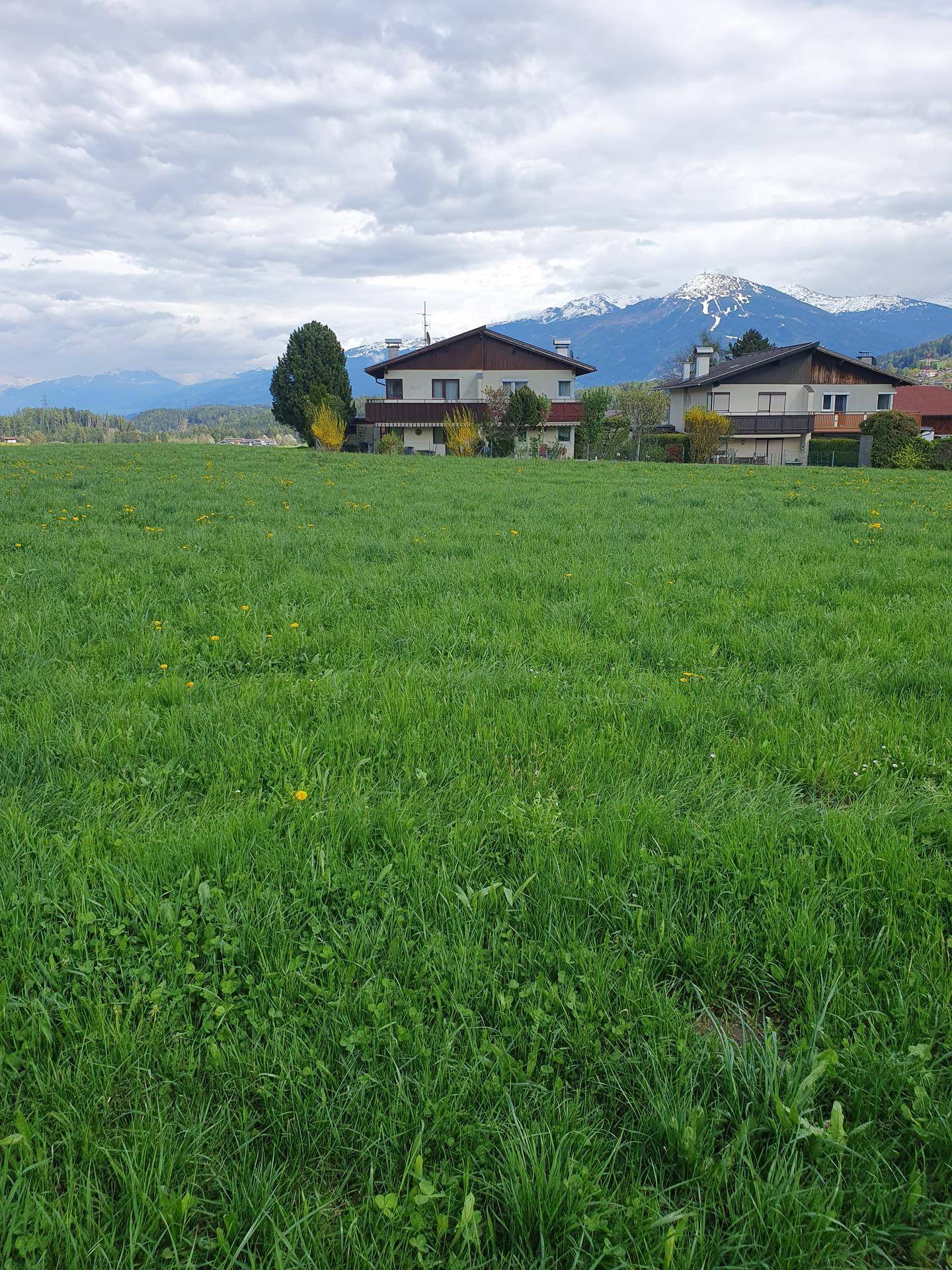 Weitläufiges grünes Feld mit Häusern und schneebedeckten Bergen in der Ferne unter einem bewölkten Himmel.