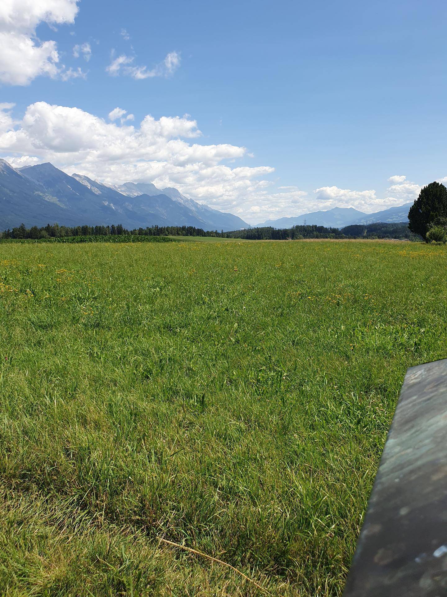 Weitläufiges grünes Feld unter einem strahlend blauen Himmel mit einer fernen Bergkette und weitem Blick.