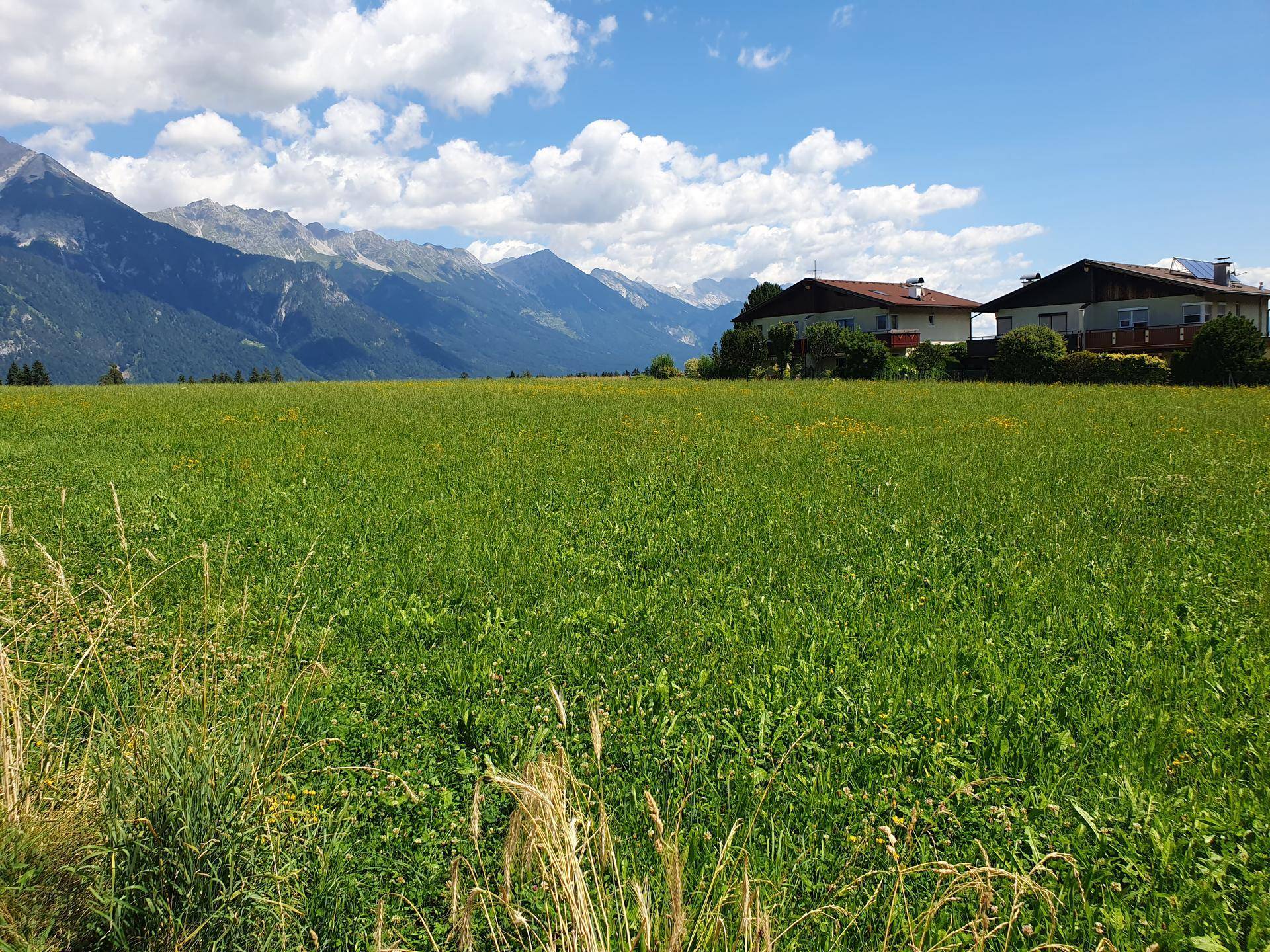 Sonnenbeschienenes grünes Feld mit Häusern und einer weiten Berglandschaft im Hintergrund unter blauem Himmel.