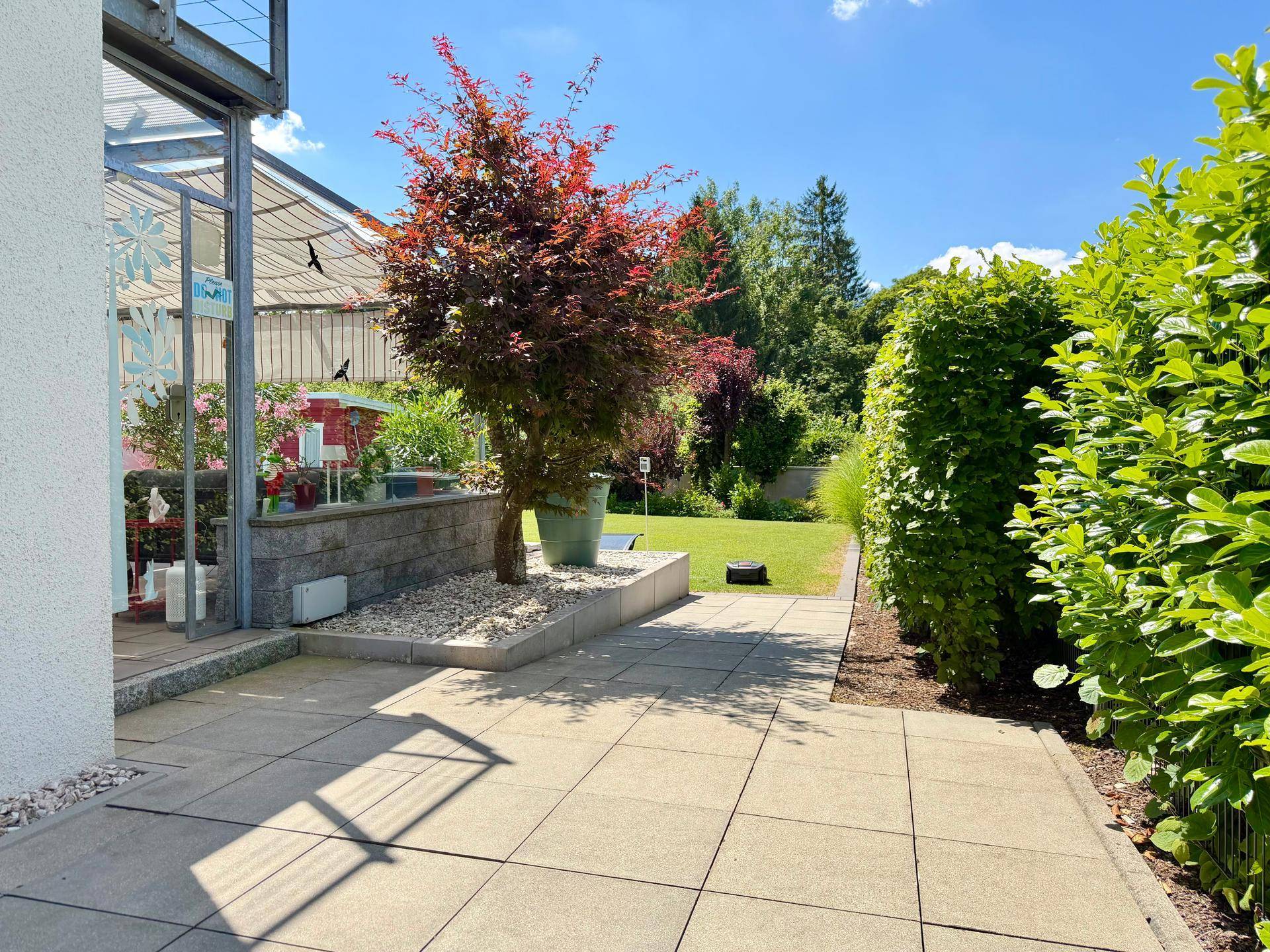 Gepflegter Gartenbereich mit Baum, Hecke und gepflastertem Weg, ideal zum Entspannen.