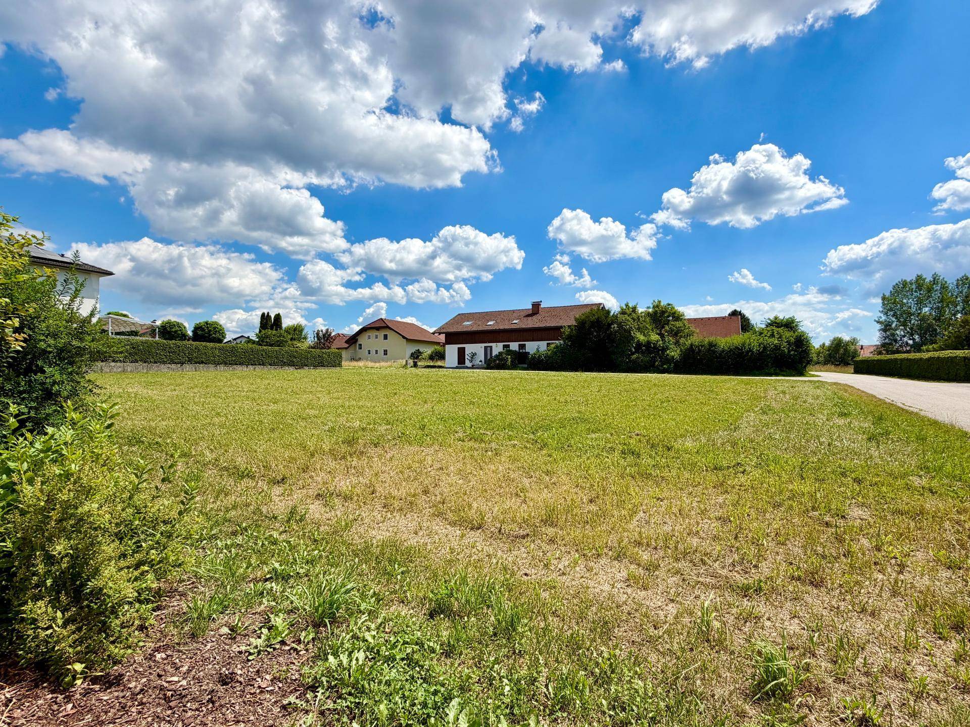 Weitläufiges grünes Grundstück mit Blick auf umliegende Häuser und viel Natur.