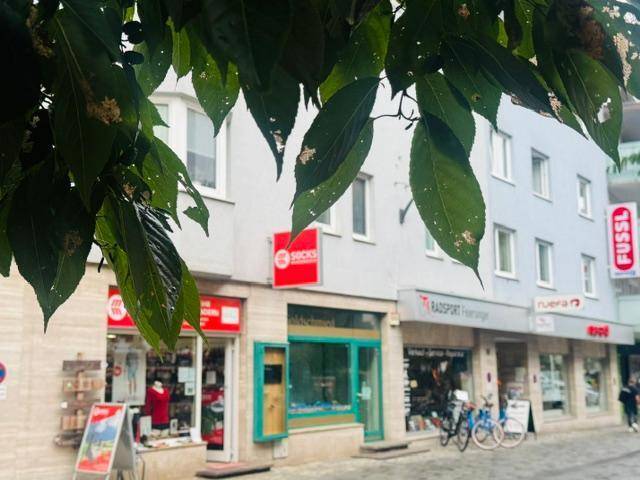 Übersicht einer Geschäftsstraße mit mehreren Ladenlokalen und einem Wohngebäude im Hintergrund, teilweise verdeckt von Blättern.