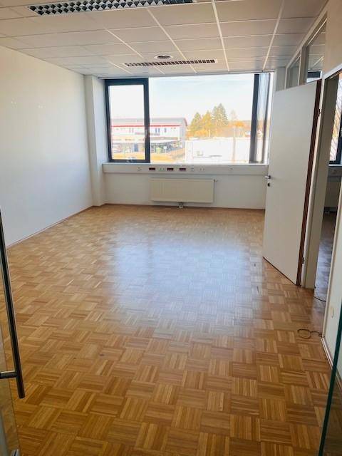 Helles, leeres Büro mit Parkettboden und einem großen Fenster, das viel Tageslicht hereinlässt.