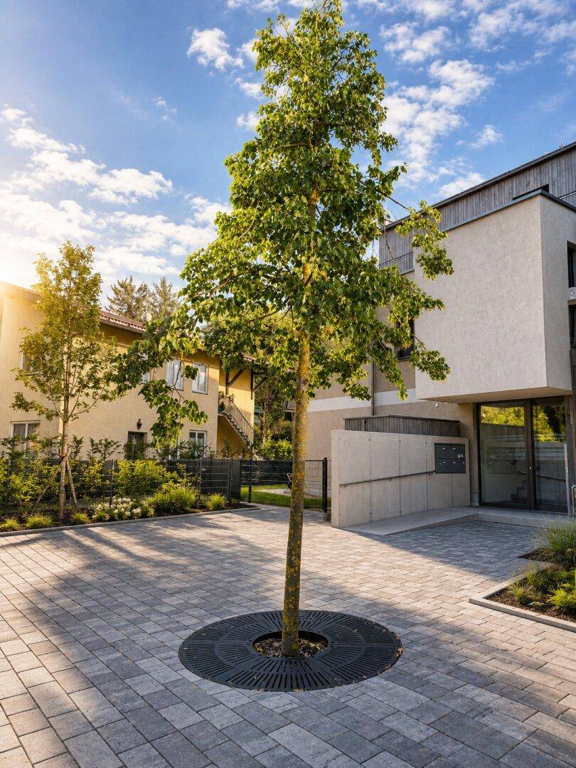 Moderner Eingangsbereich eines Gebäudes mit gepflastertem Vorplatz und jungem Baum.