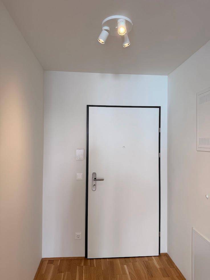 Eingangsbereich einer Wohnung mit Holzboden und einer modernen weißen Eingangstür.