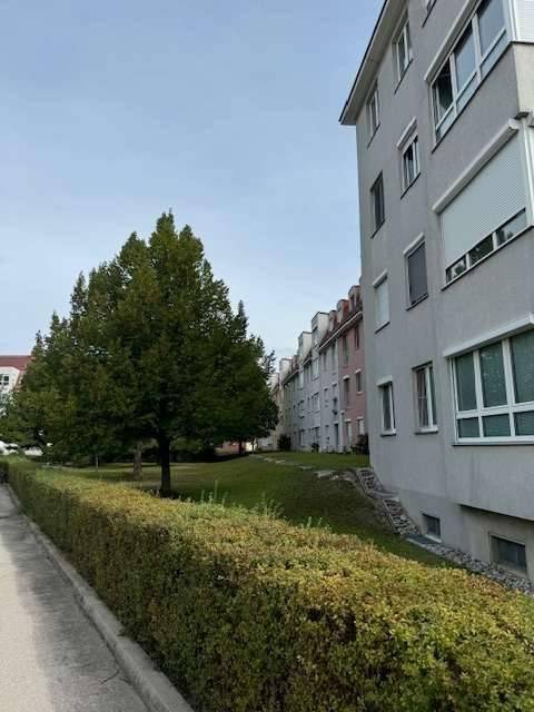 Fassade eines Wohngebäudes mit Rollläden und gepflegter Hecke im Vordergrund.