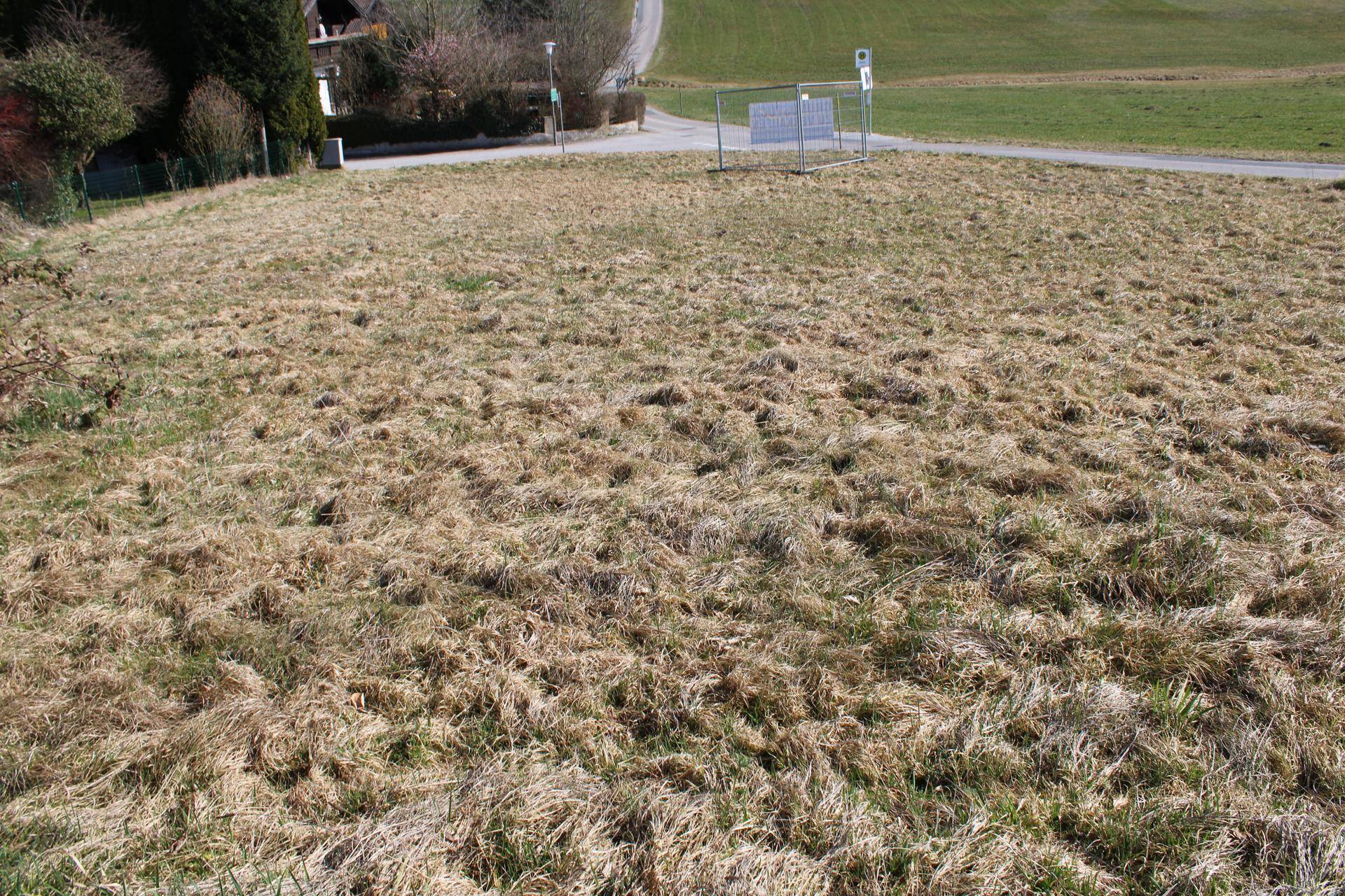 Weitläufige Grasfläche mit einer Straße im Vordergrund und ländlicher Umgebung unter blauem Himmel.