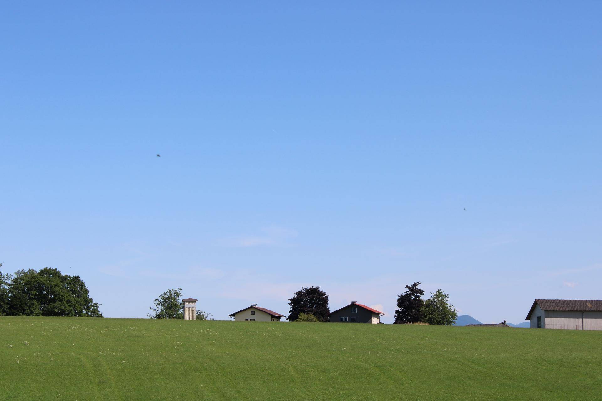 Sanfte grüne Hügel unter strahlend blauem Himmel mit vereinzelten Häusern und Bäumen in der Ferne.