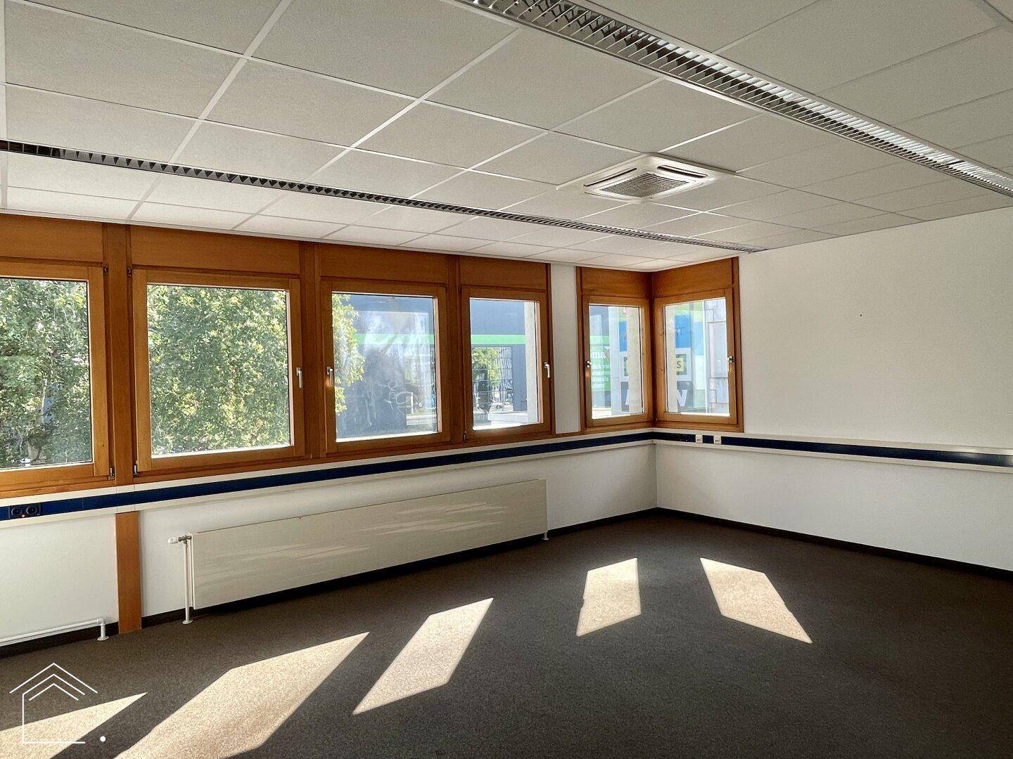 Büro mit Teppichboden, breiten Fenstern und Heizkörpern, bietet eine helle Arbeitsumgebung.