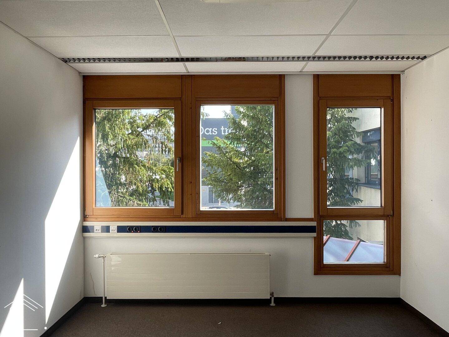 Kleines Büro mit Teppichboden, Fenstern und Heizkörper, bietet eine ruhige Arbeitsatmosphäre.