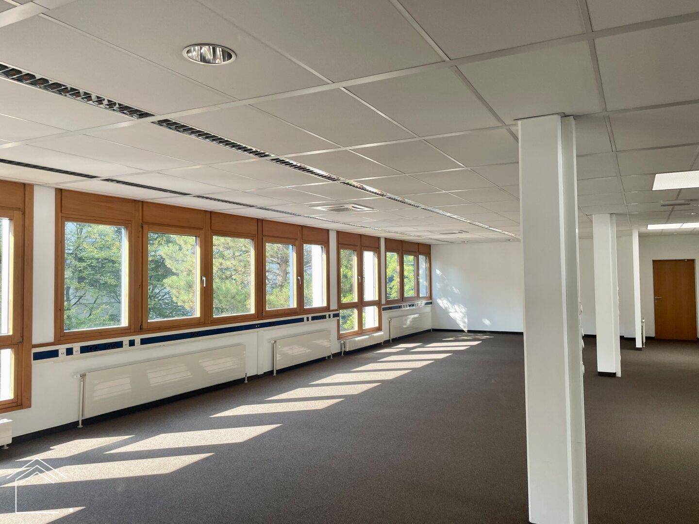 Großes, offenes Büro mit Teppichboden, vielen Fenstern und Säulen, bietet flexible Gestaltungsmöglichkeiten.