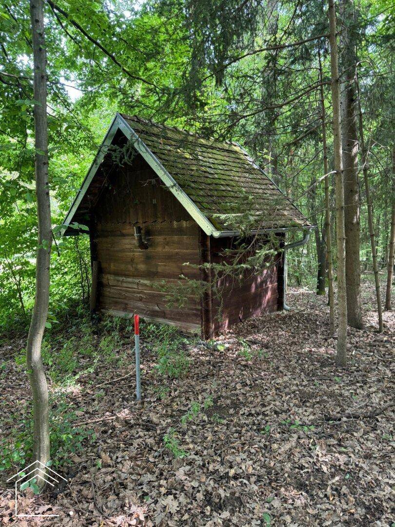 Kleine, rustikale Holzhütte mit moosbewachsenem Dach, umgeben von Bäumen im Wald.