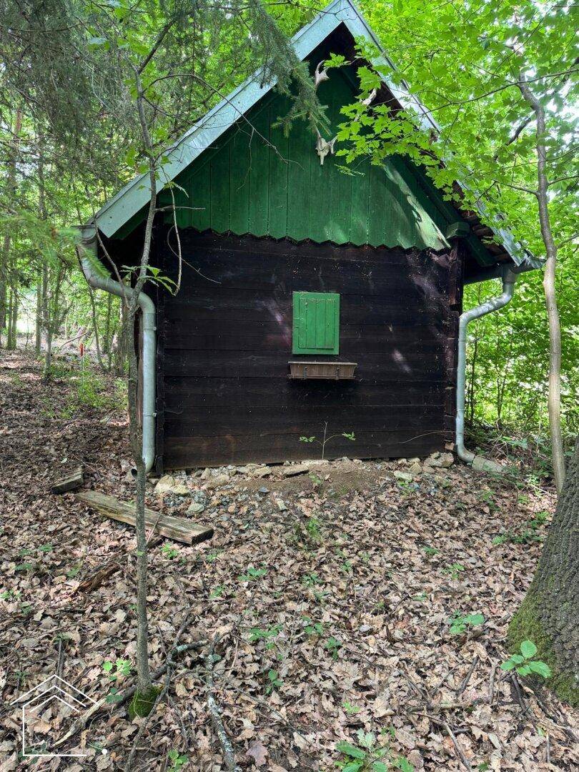 Rustikale Holzhütte mit grünem Dach und Regenrinnen, umgeben von Bäumen und Laub.