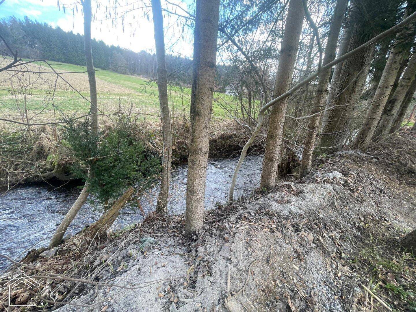 Ein idyllischer Bachlauf mit Bäumen am Ufer in einer ruhigen, ländlichen Umgebung.