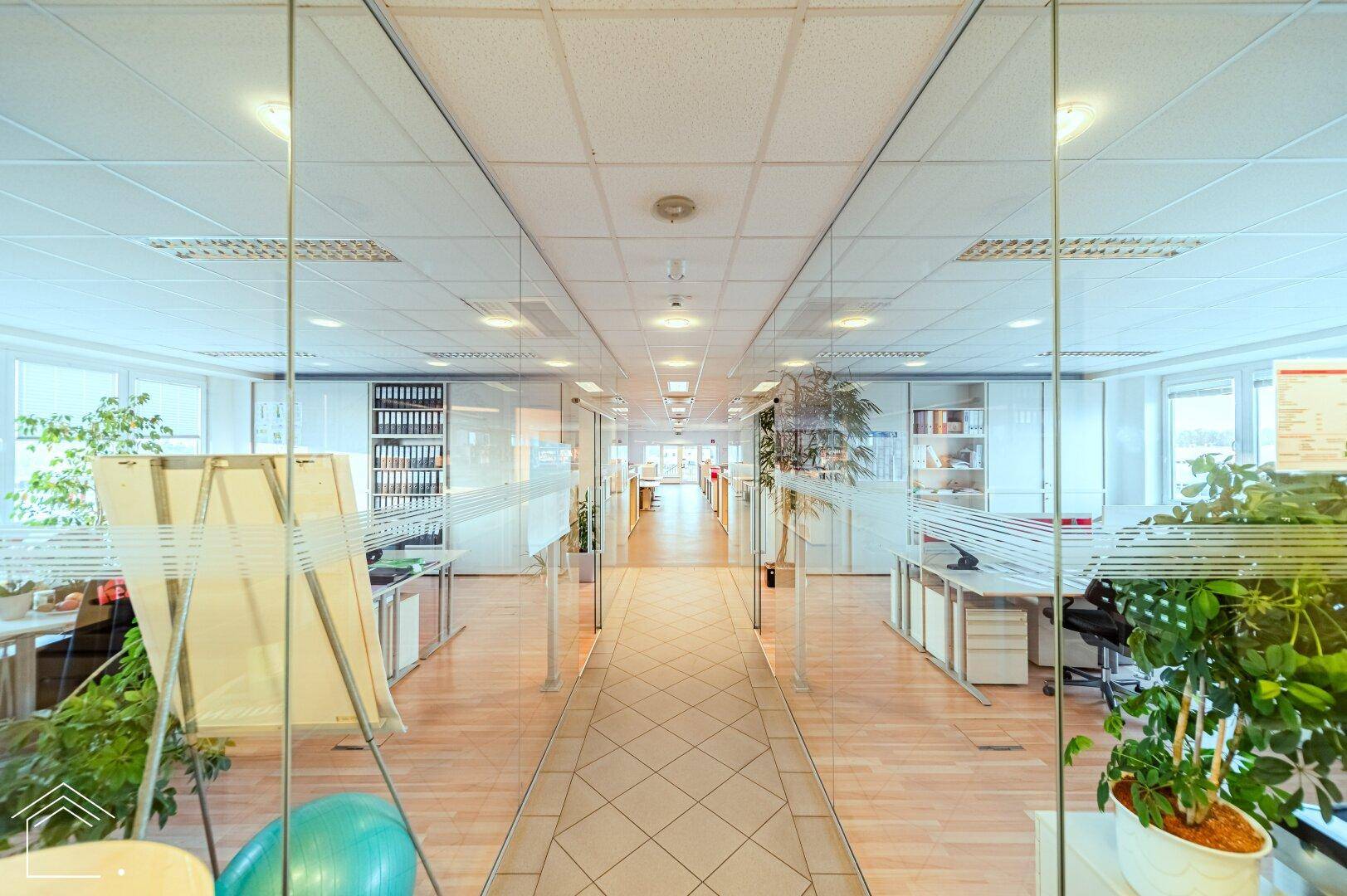 Heller Büroflur mit Glaswänden, die zu einzelnen Büros führen, und Holzboden.