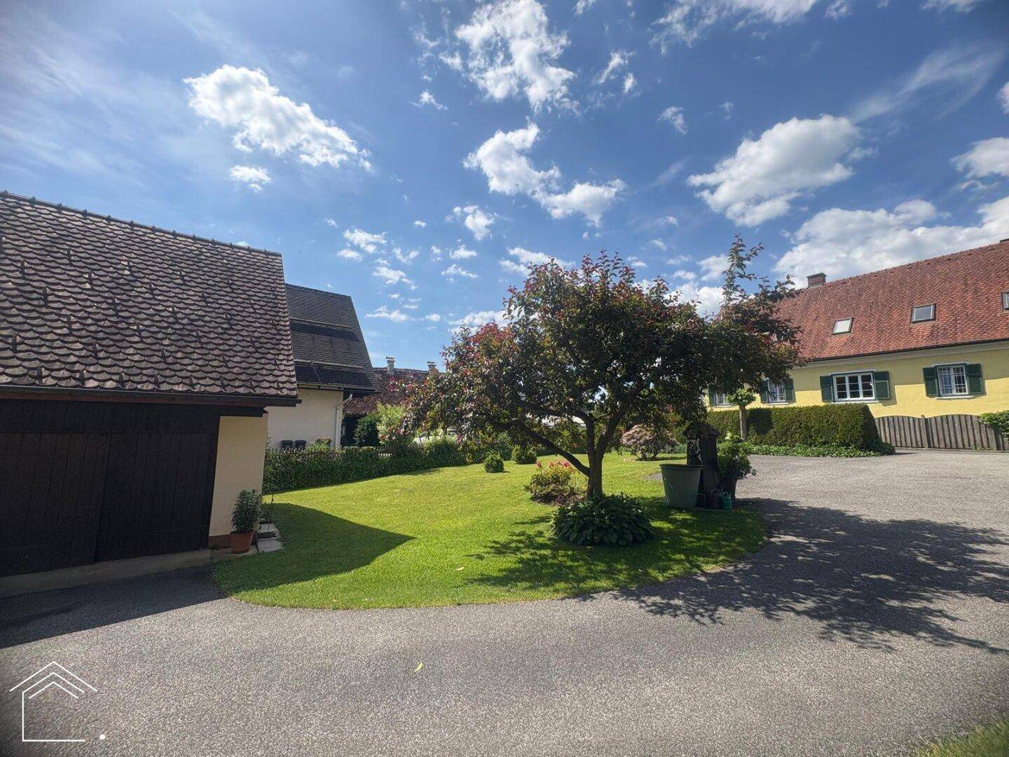 Großer, gepflegter Garten mit Rasenfläche, altem Baum und Zufahrt zum Haus.