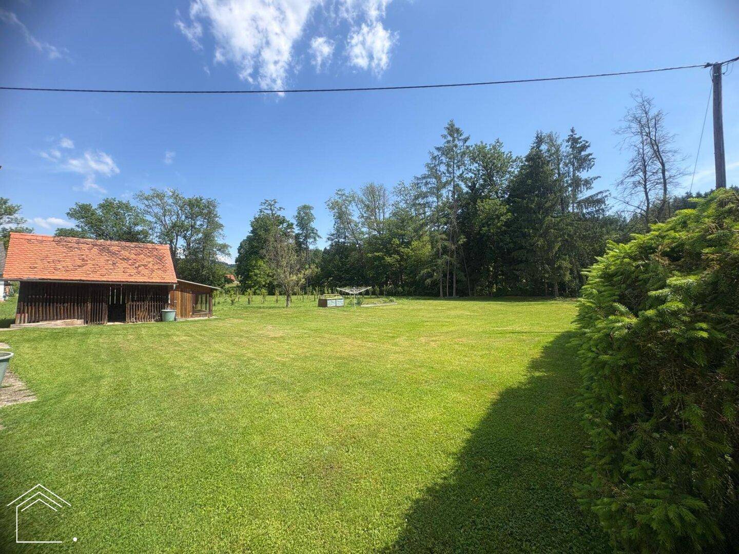 Weitläufige Rasenfläche im Garten mit Bäumen im Hintergrund und einem Schuppen.