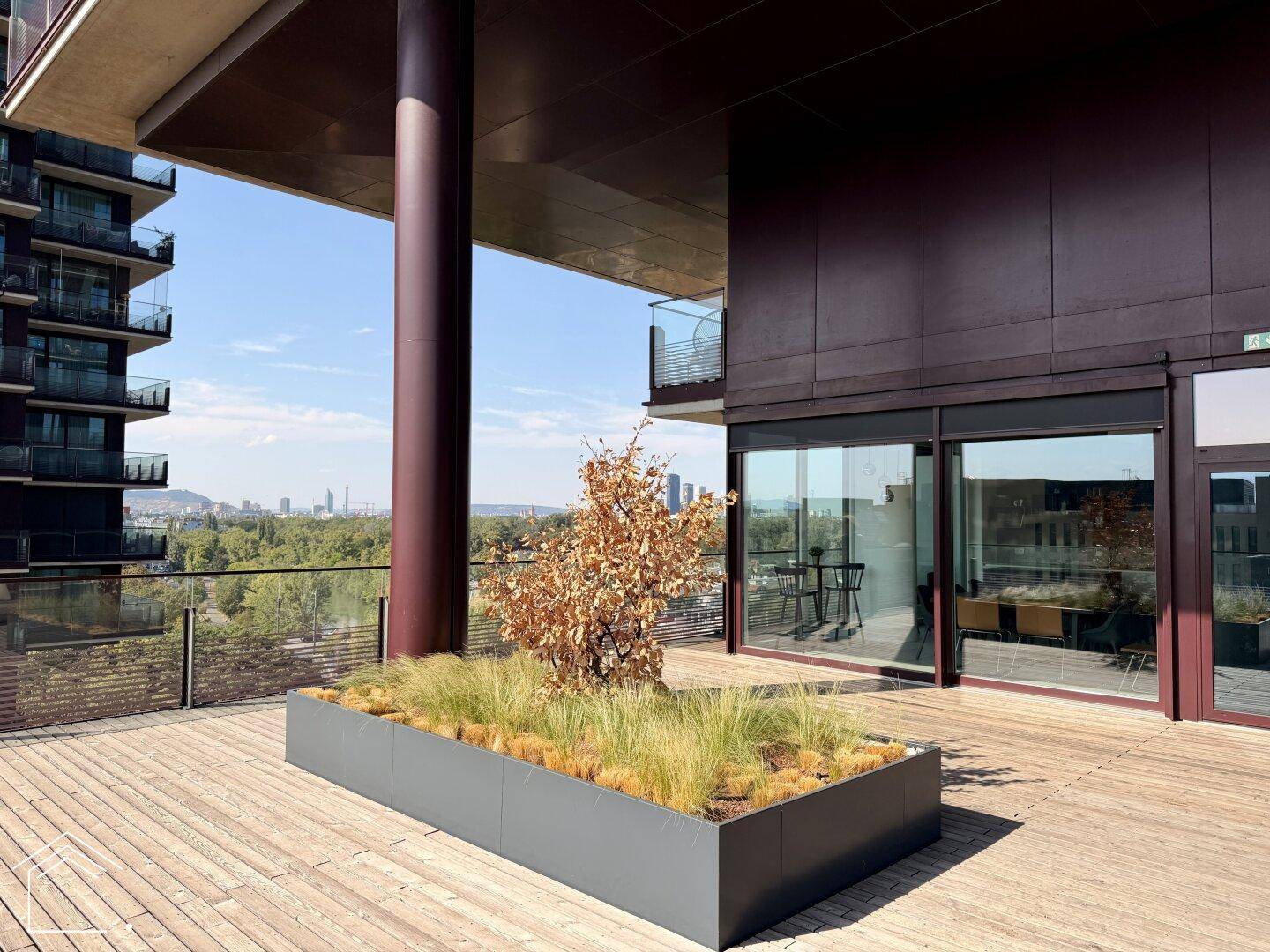 Weitläufige Terrasse mit Pflanzenkübeln und Blick auf die moderne Gebäudefassade und die Umgebung.