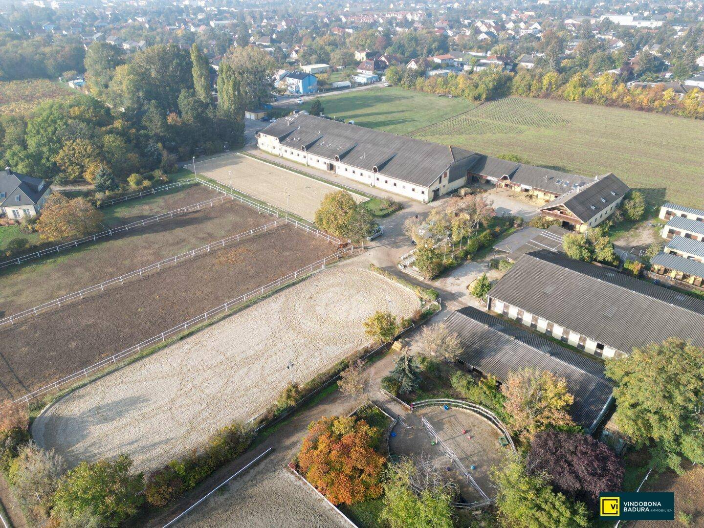 Vierecke mit Koppeln