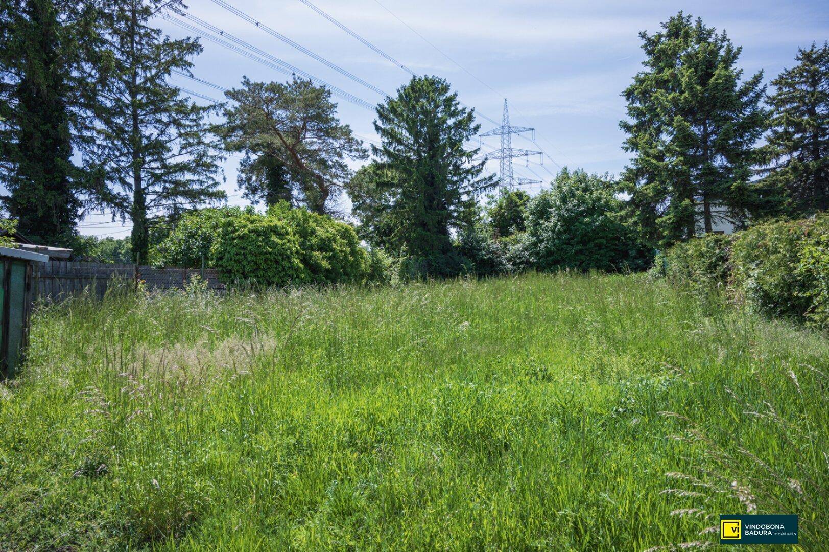 Weitläufiges, grünes Grundstück mit hohem Gras und Stromleitungen im Hintergrund.